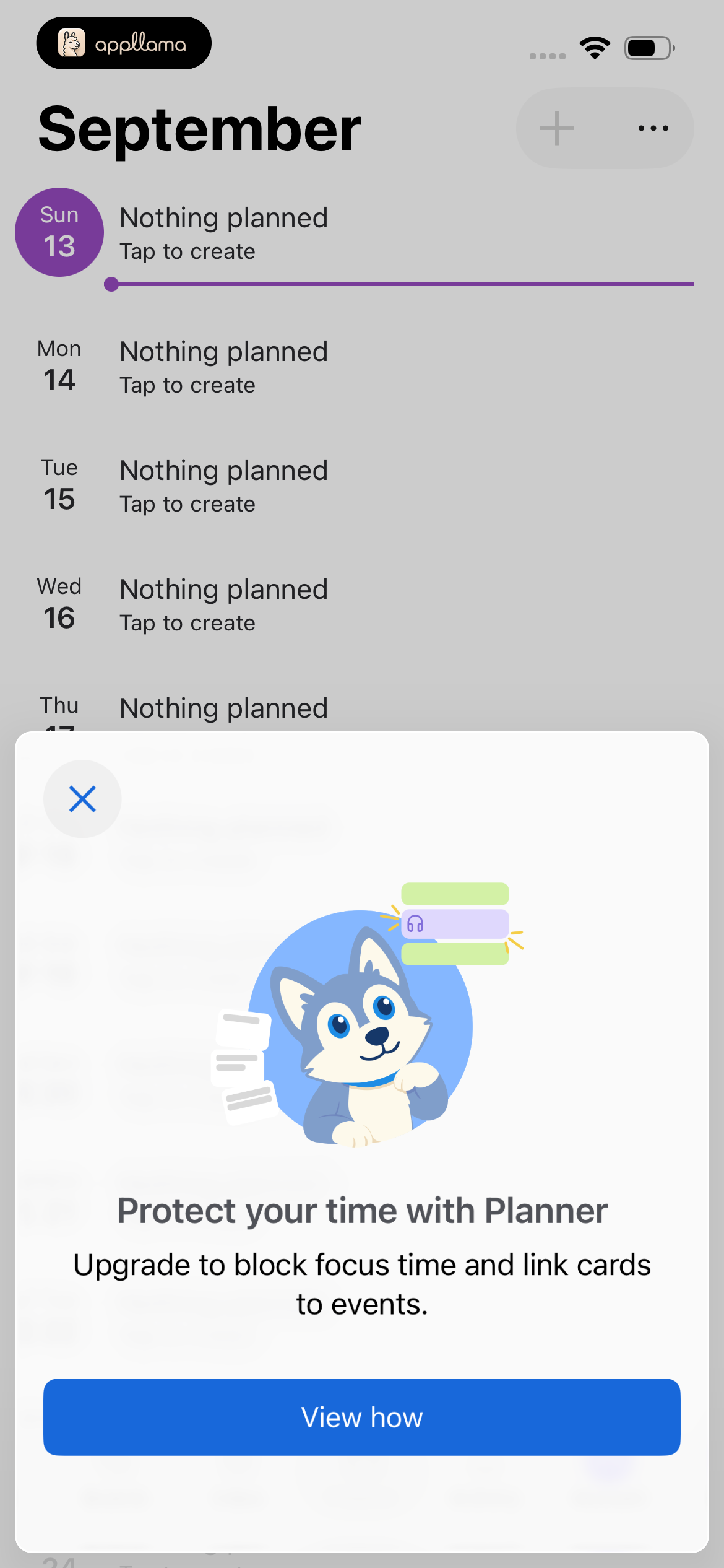 Planner Promo Sheet