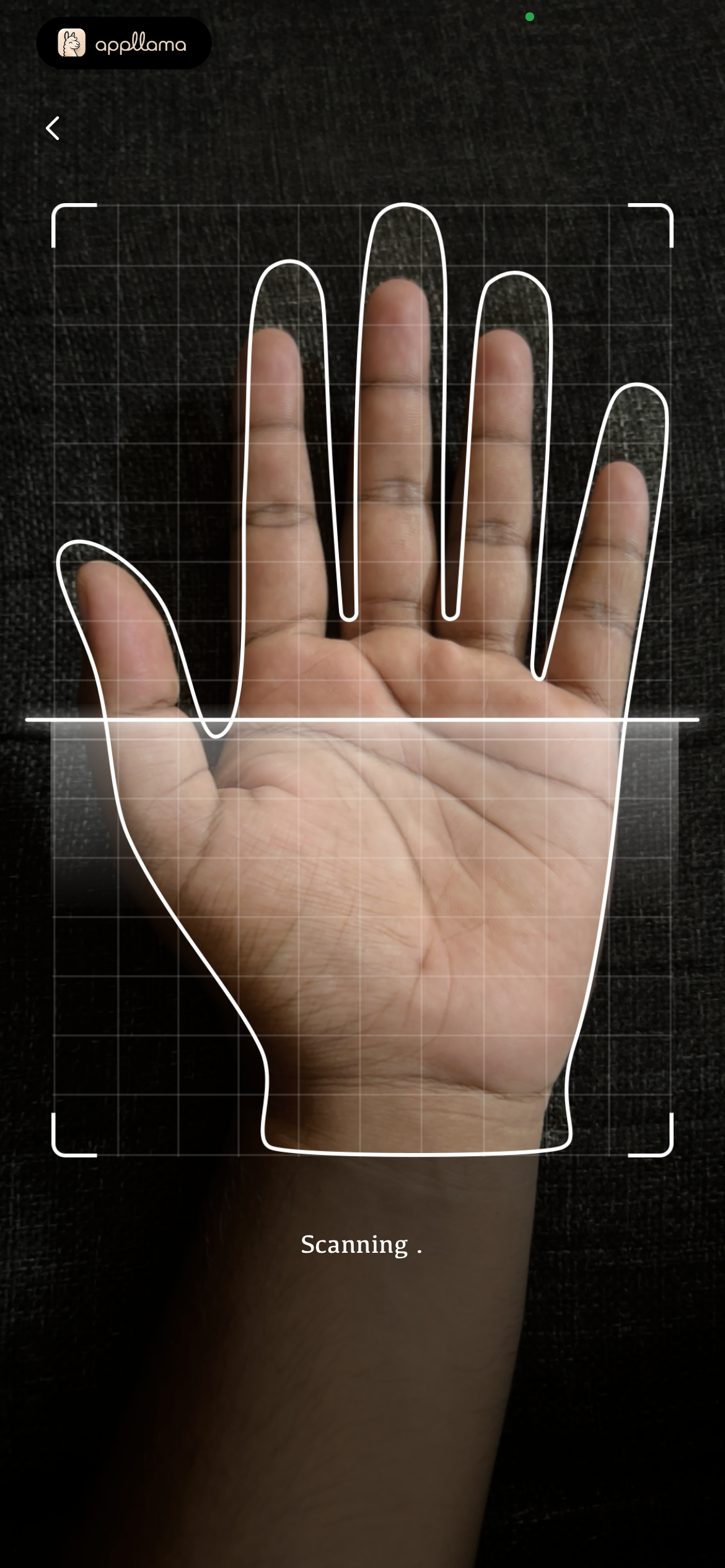 Palm Scan Capture