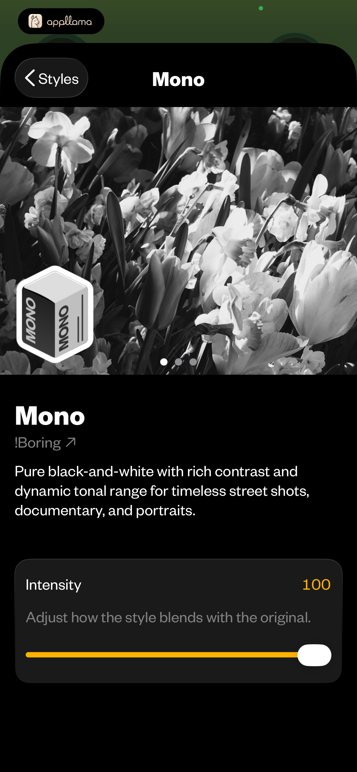 Mono Style Detail