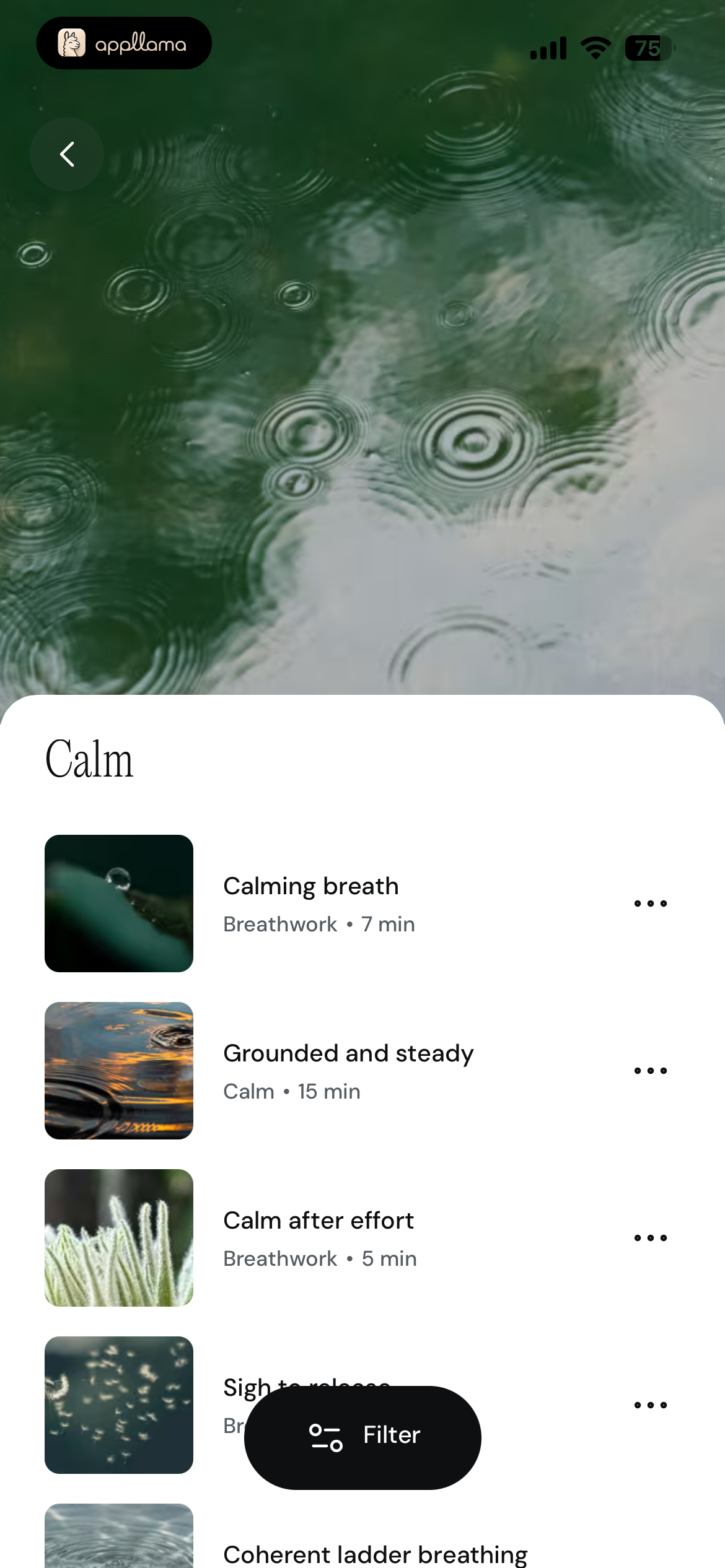 Calm Audio Browse