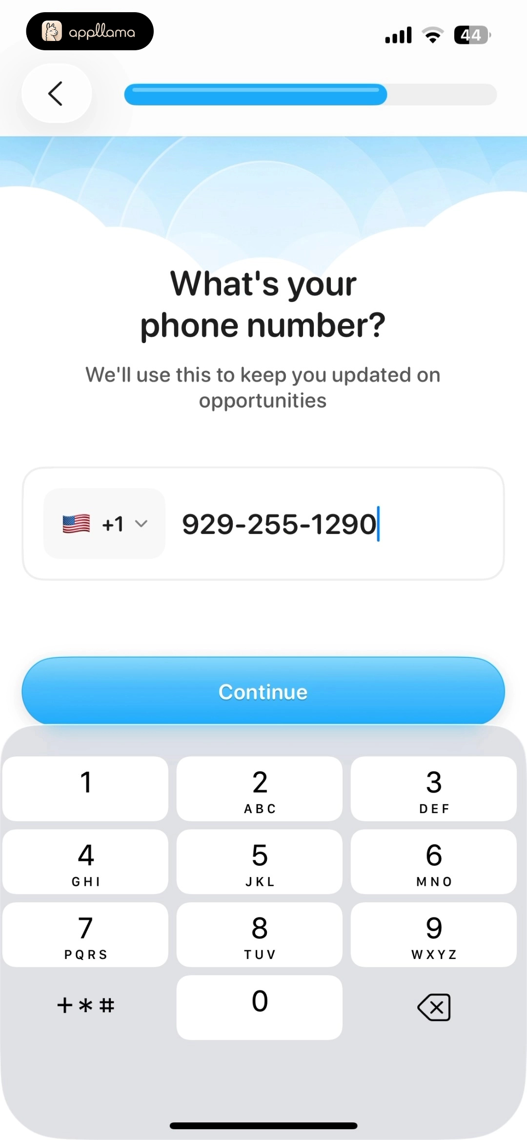 Phone Number Entry