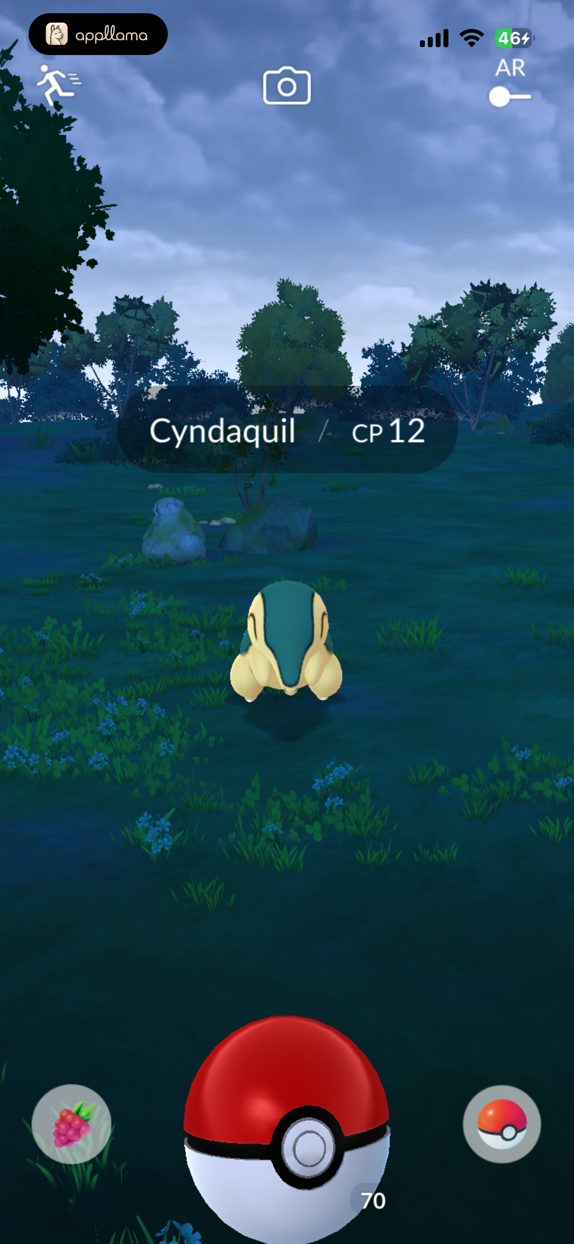 Wild Pokémon Encounter