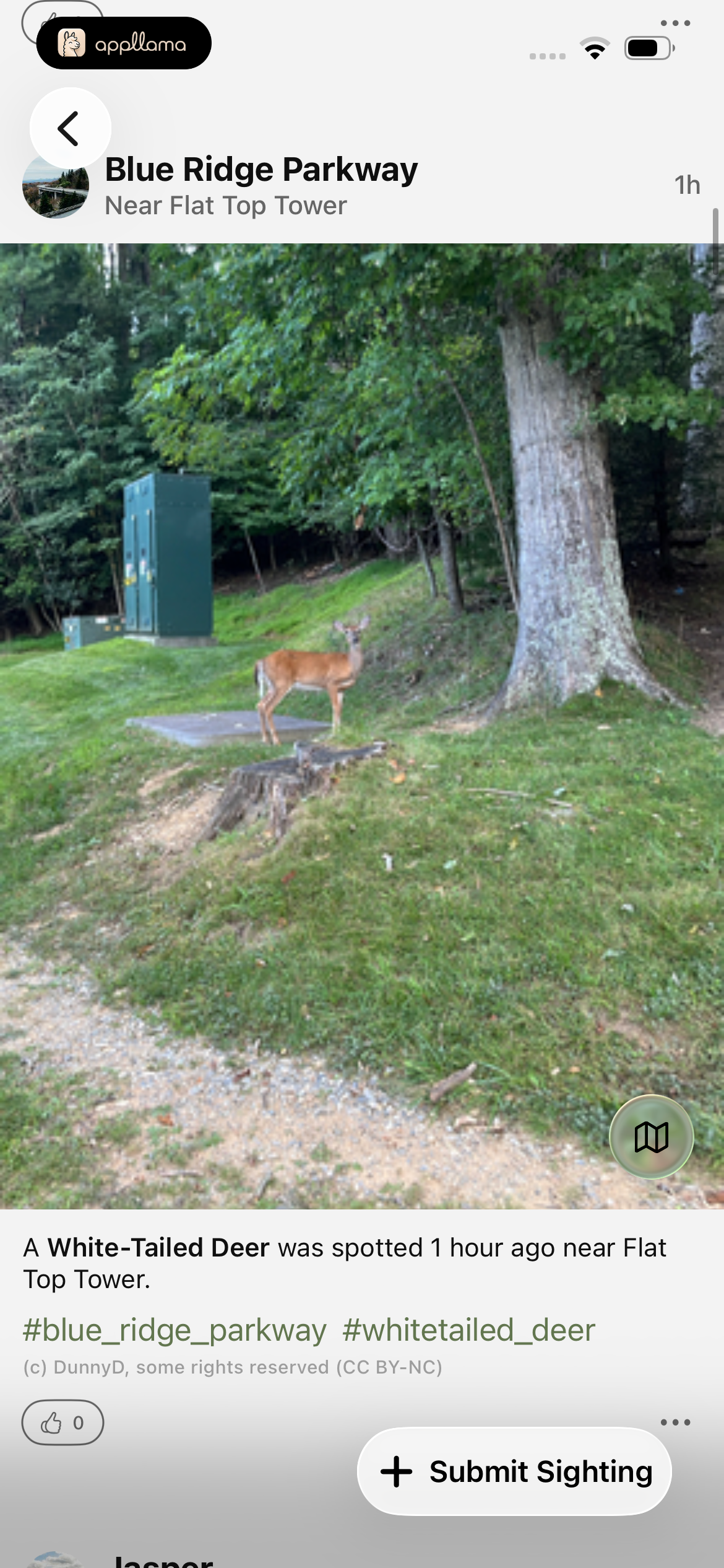 Sighting Detail