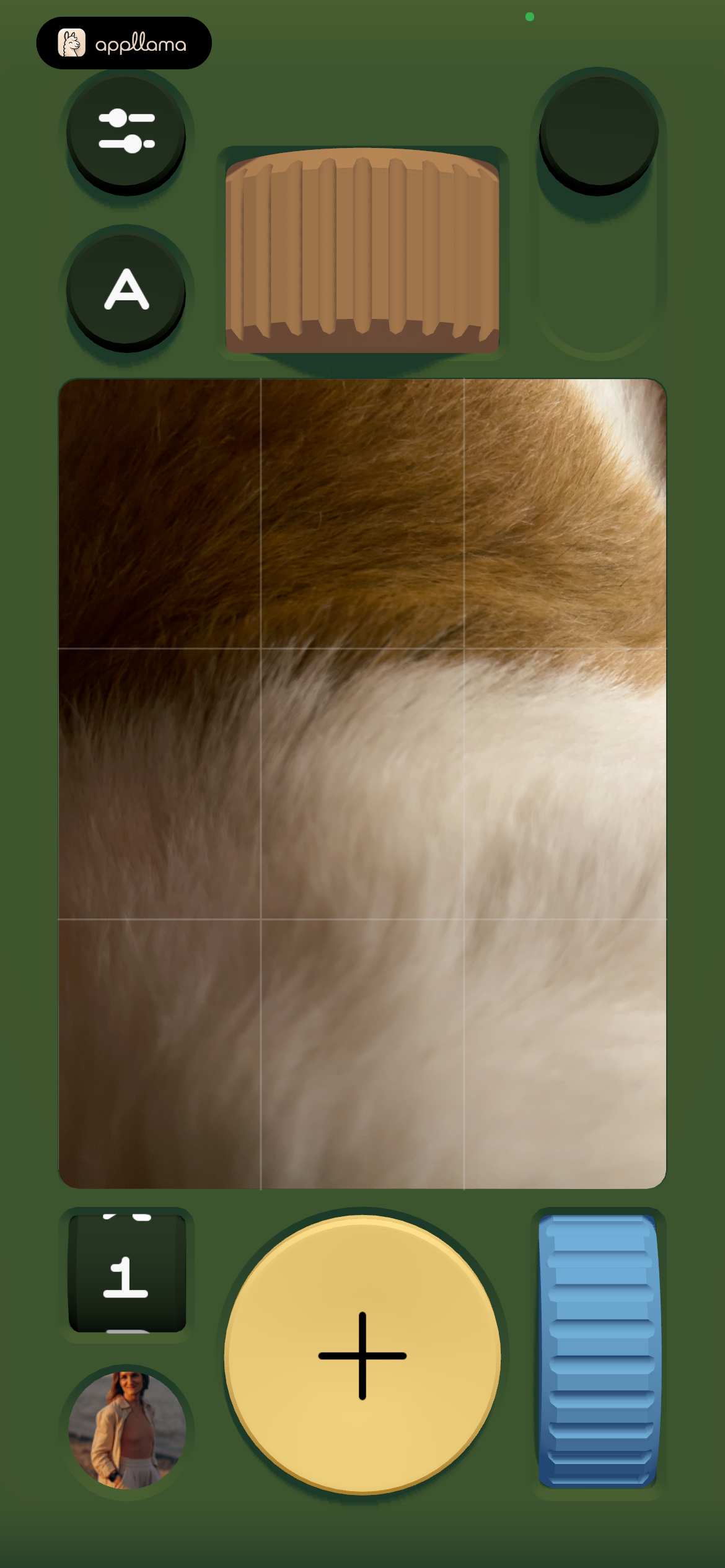 Camera Viewfinder