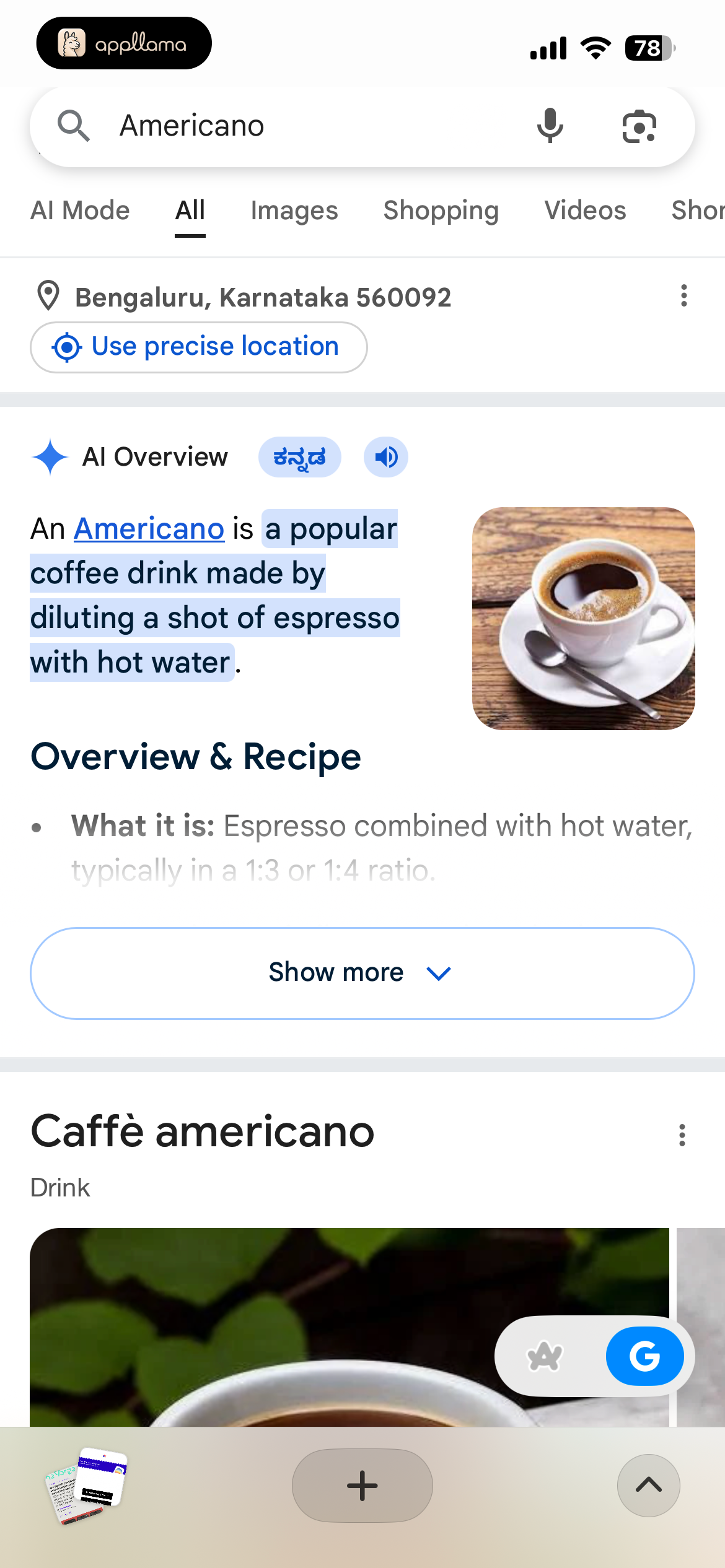 Google Search Results