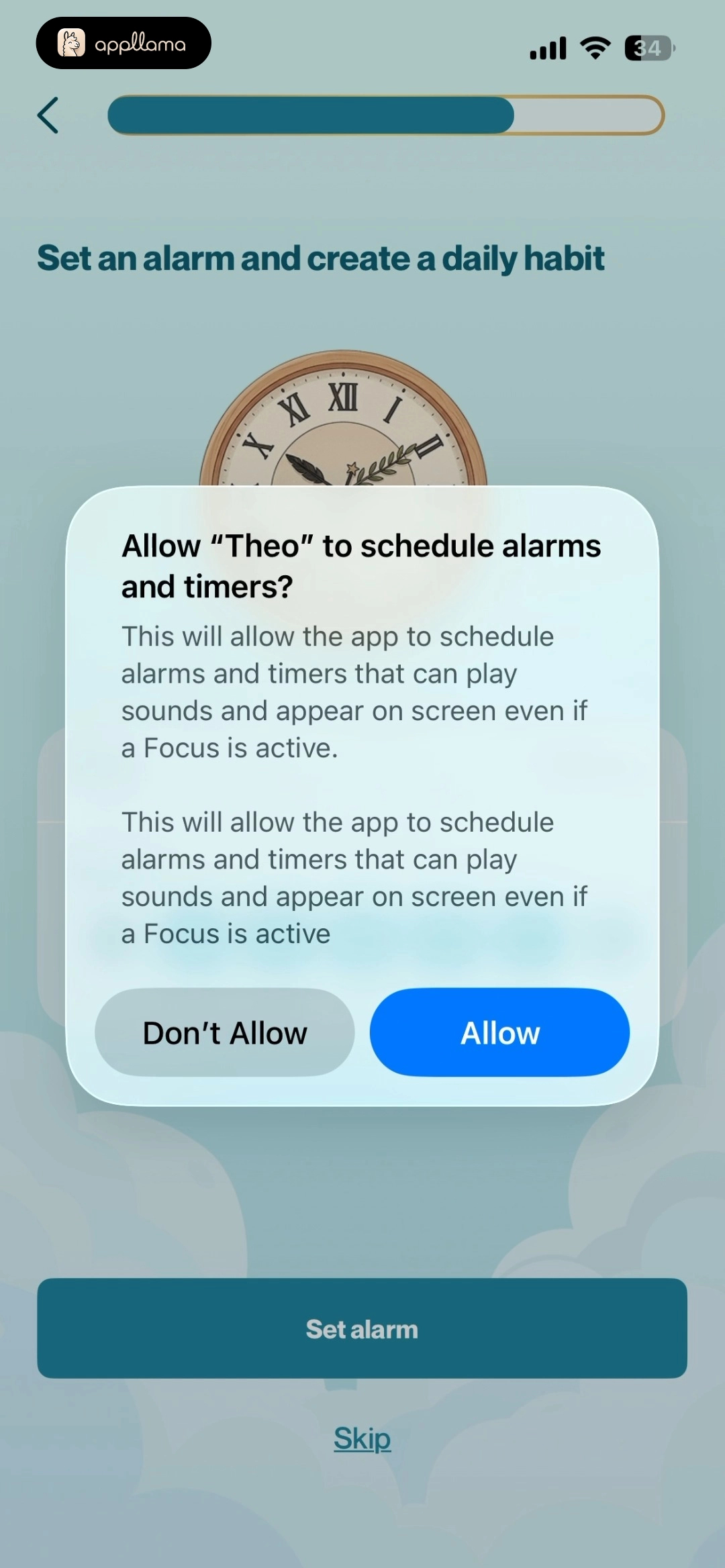 Alarm Permission Prompt