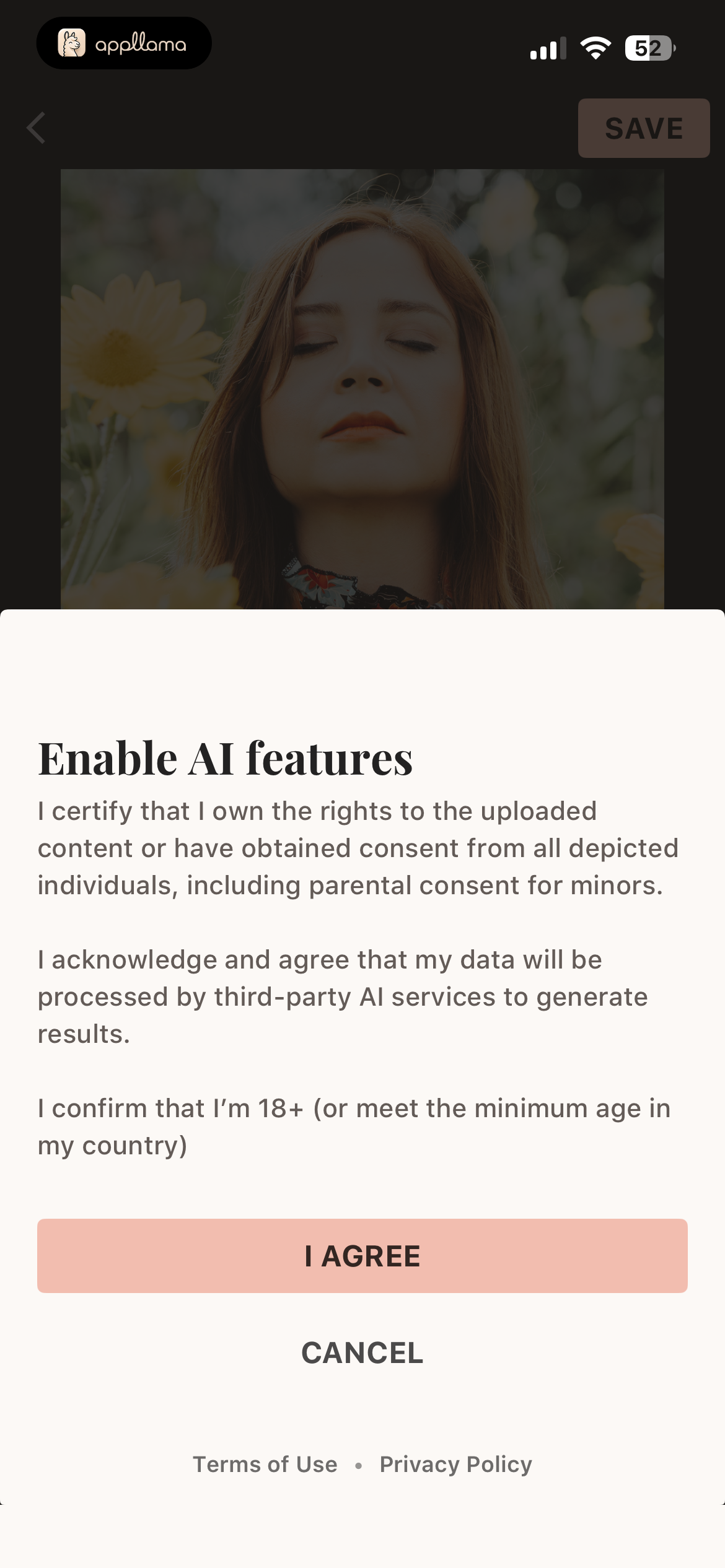 AI Consent Modal