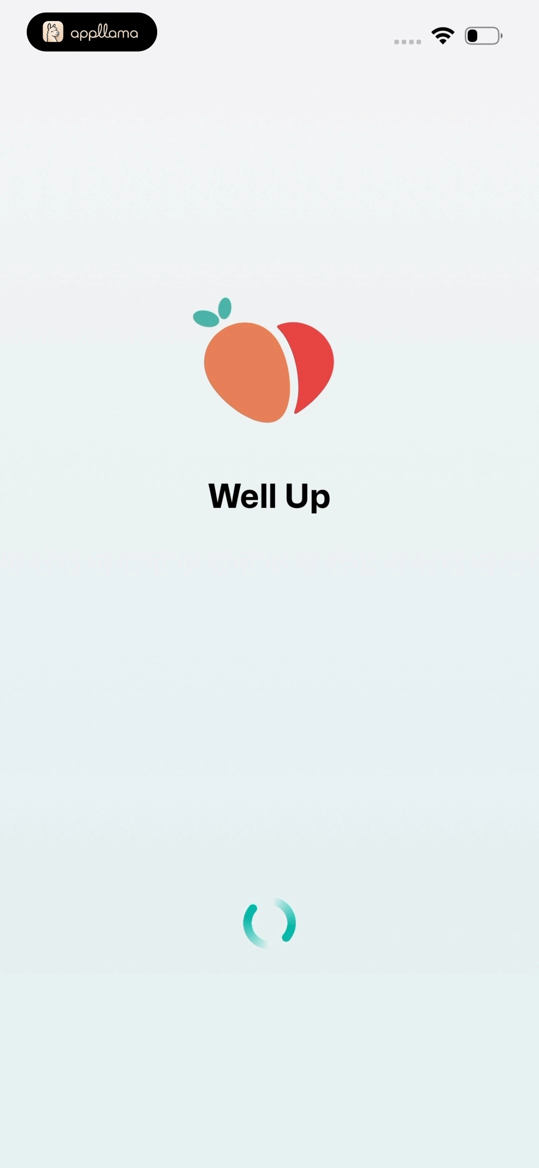 App Launch Splash