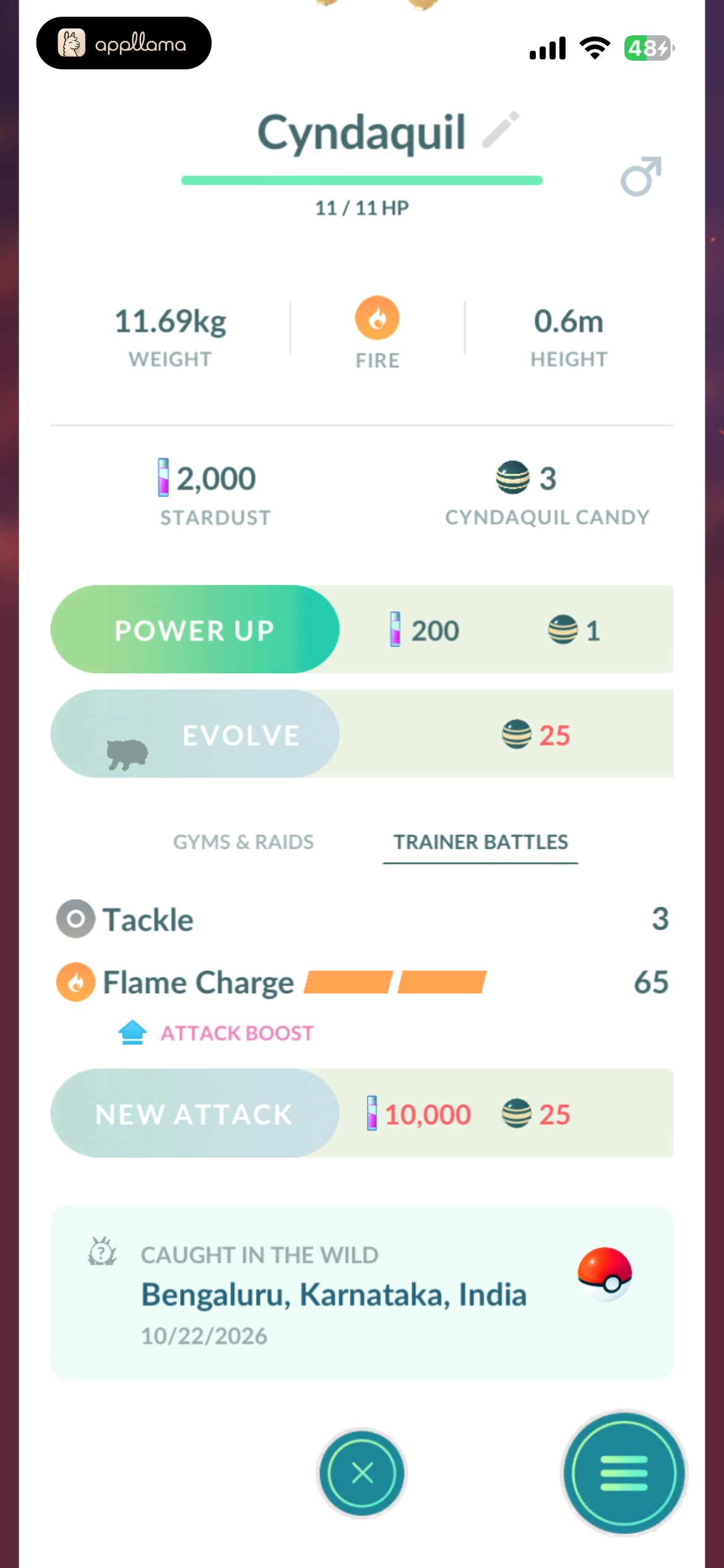 Pokémon Detail Stats