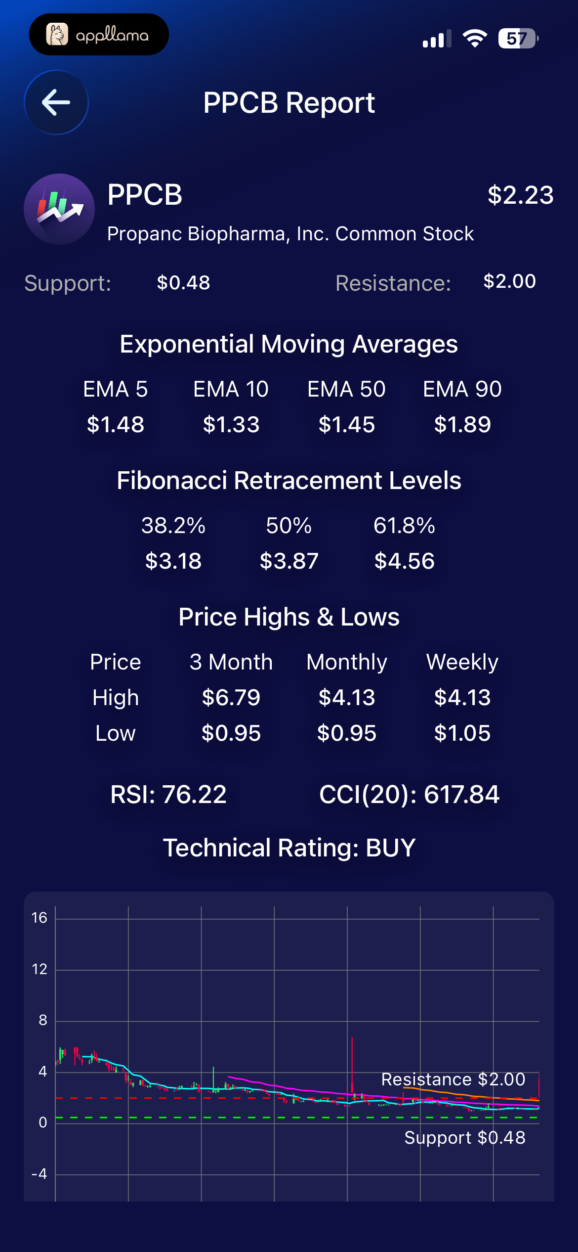 Stock Report Details