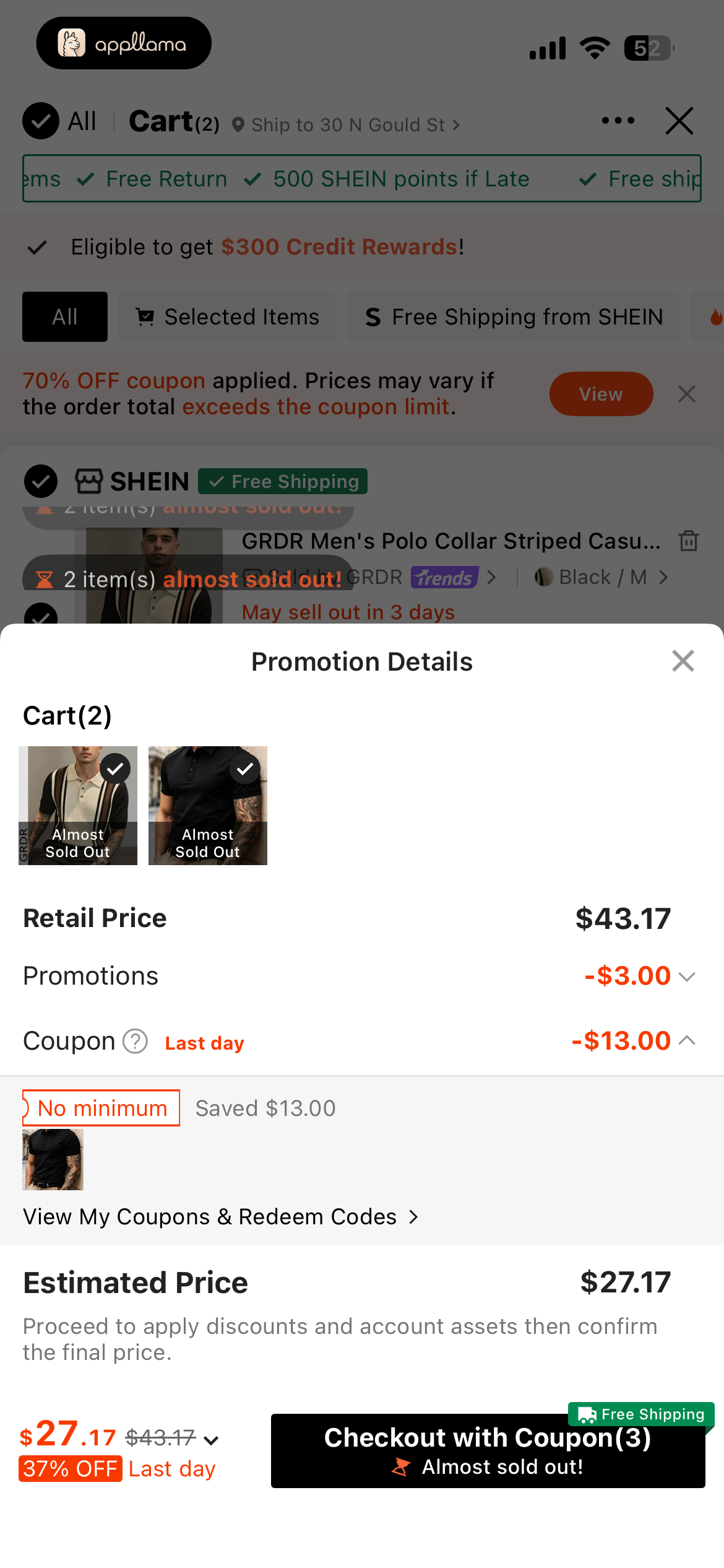 Promotion Details