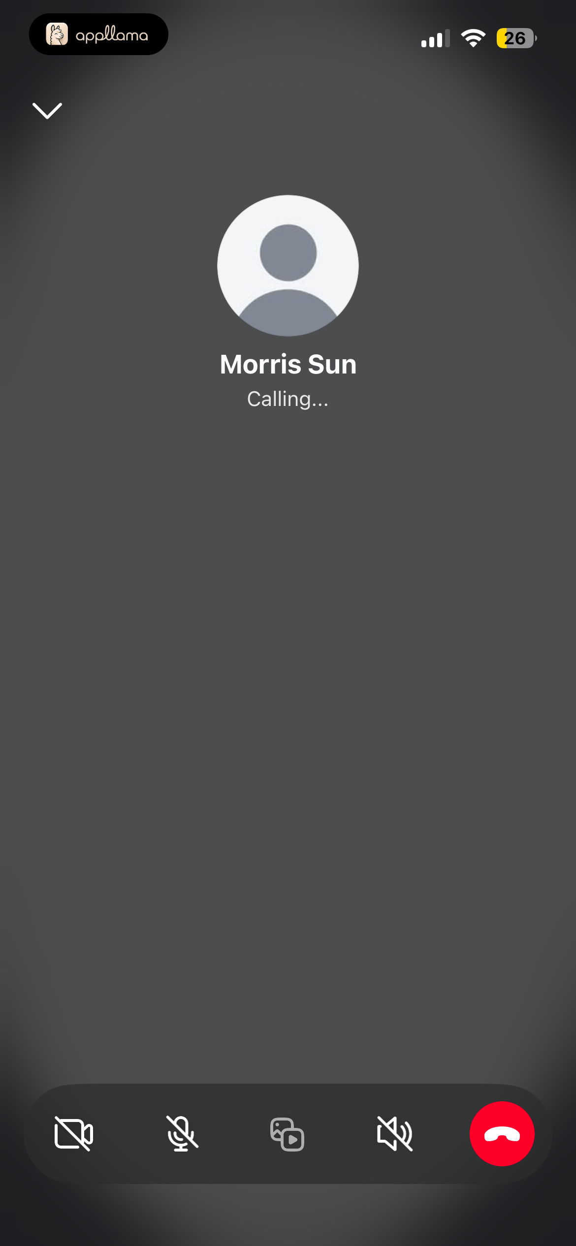Active Audio Call