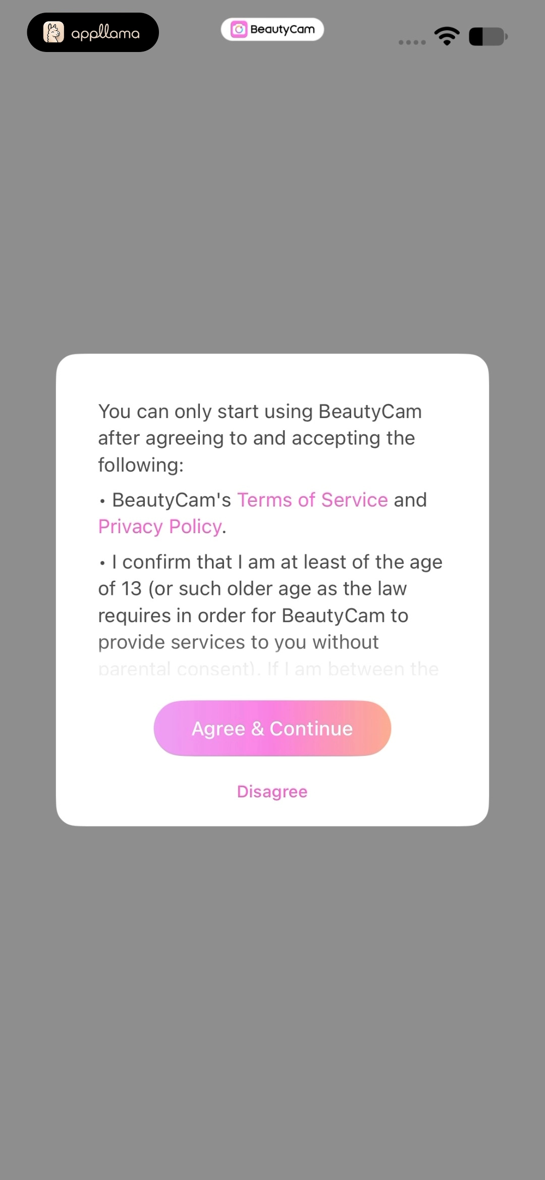 Terms and Consent