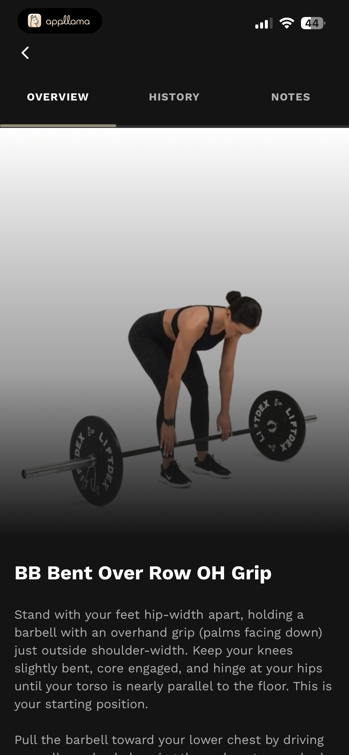 Exercise Guide
