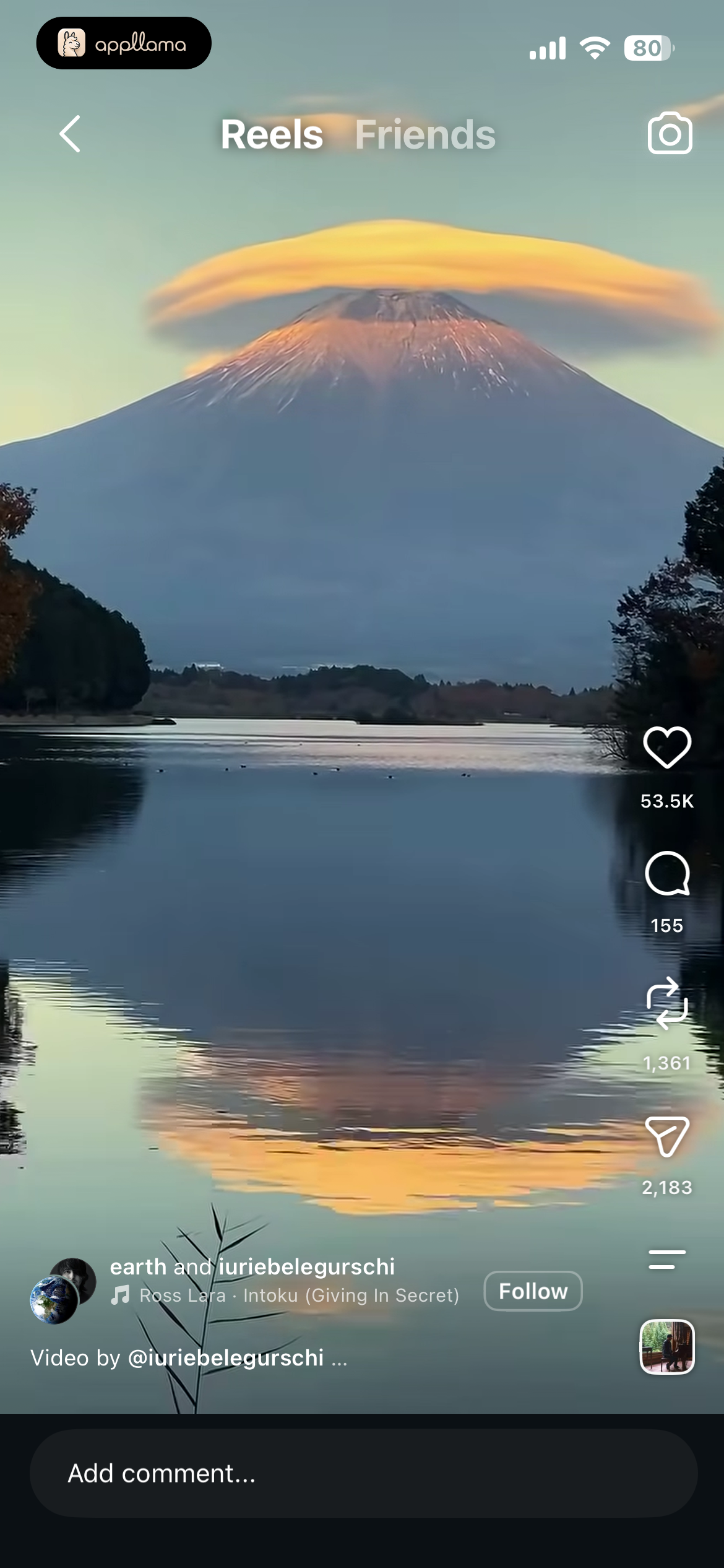 Reels Viewer