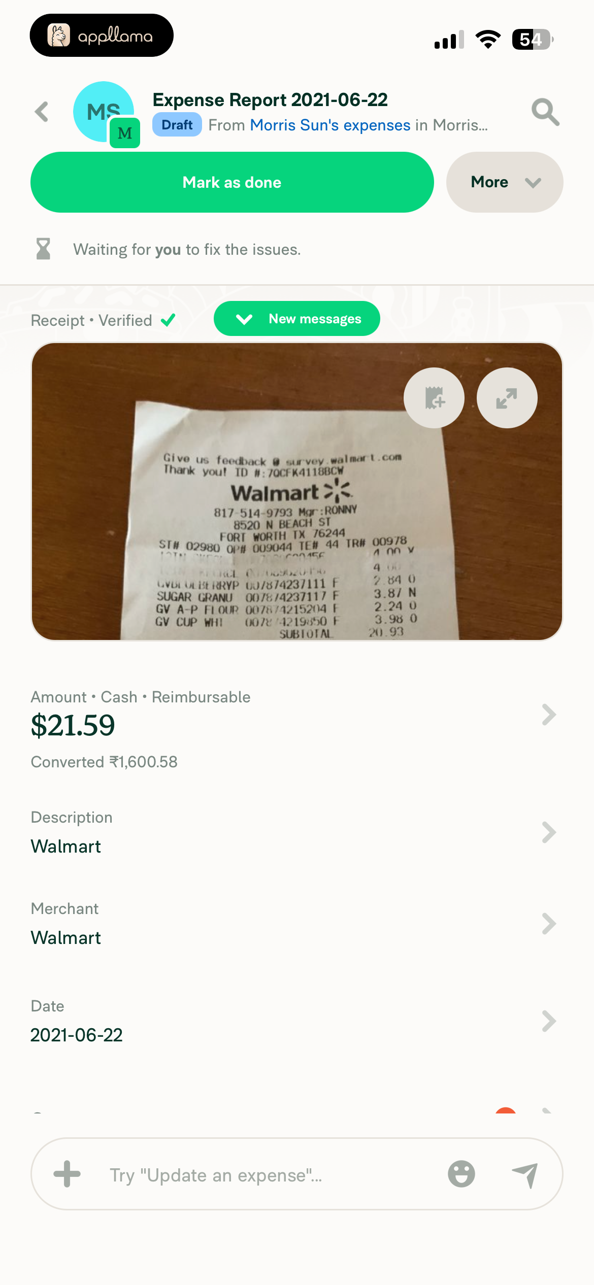 Expense Detail Chat