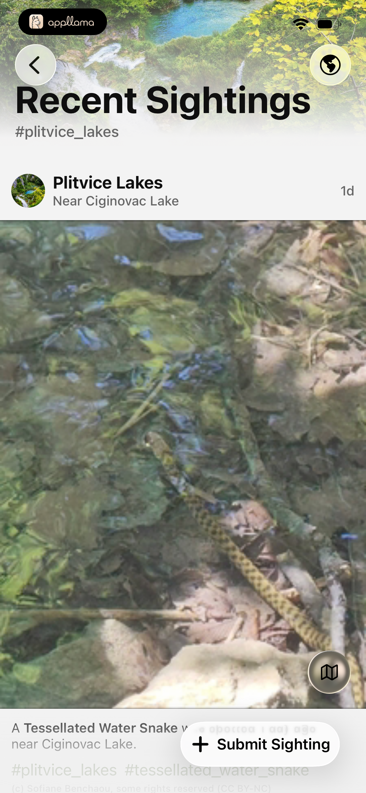 Park Recent Sightings