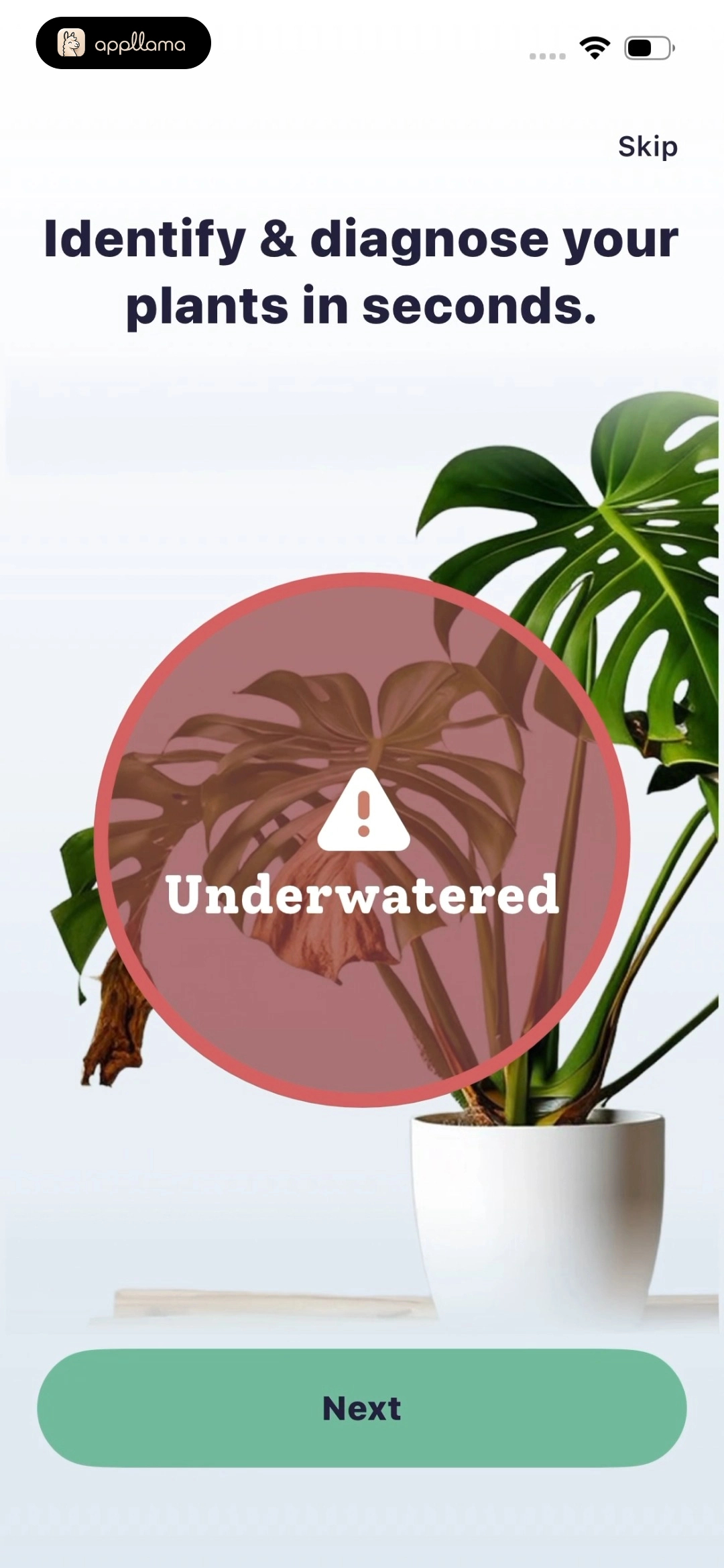 Plant Diagnosis Intro