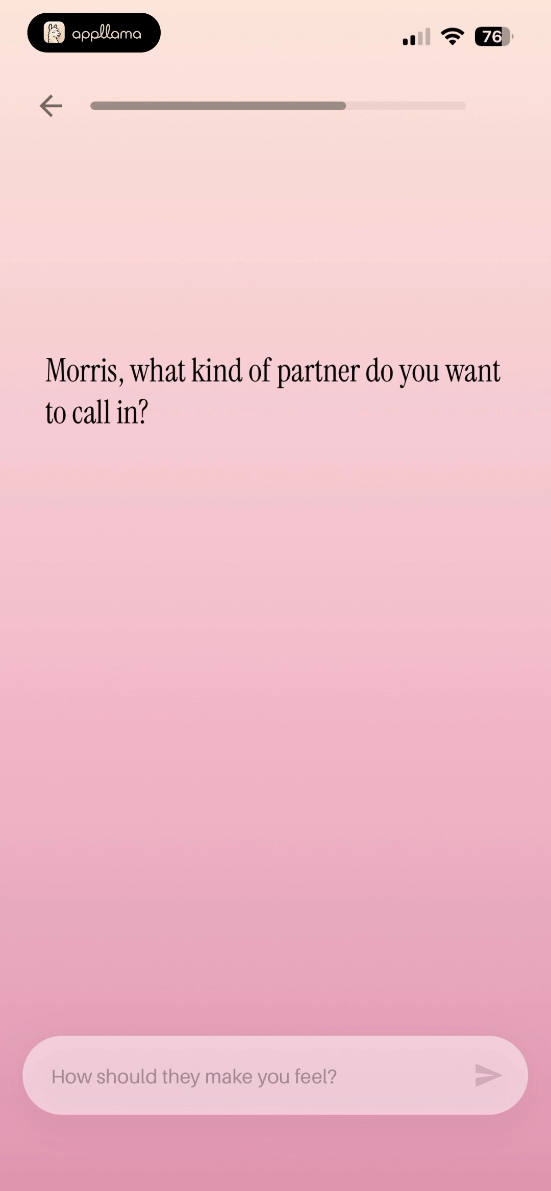 Ideal Partner Entry
