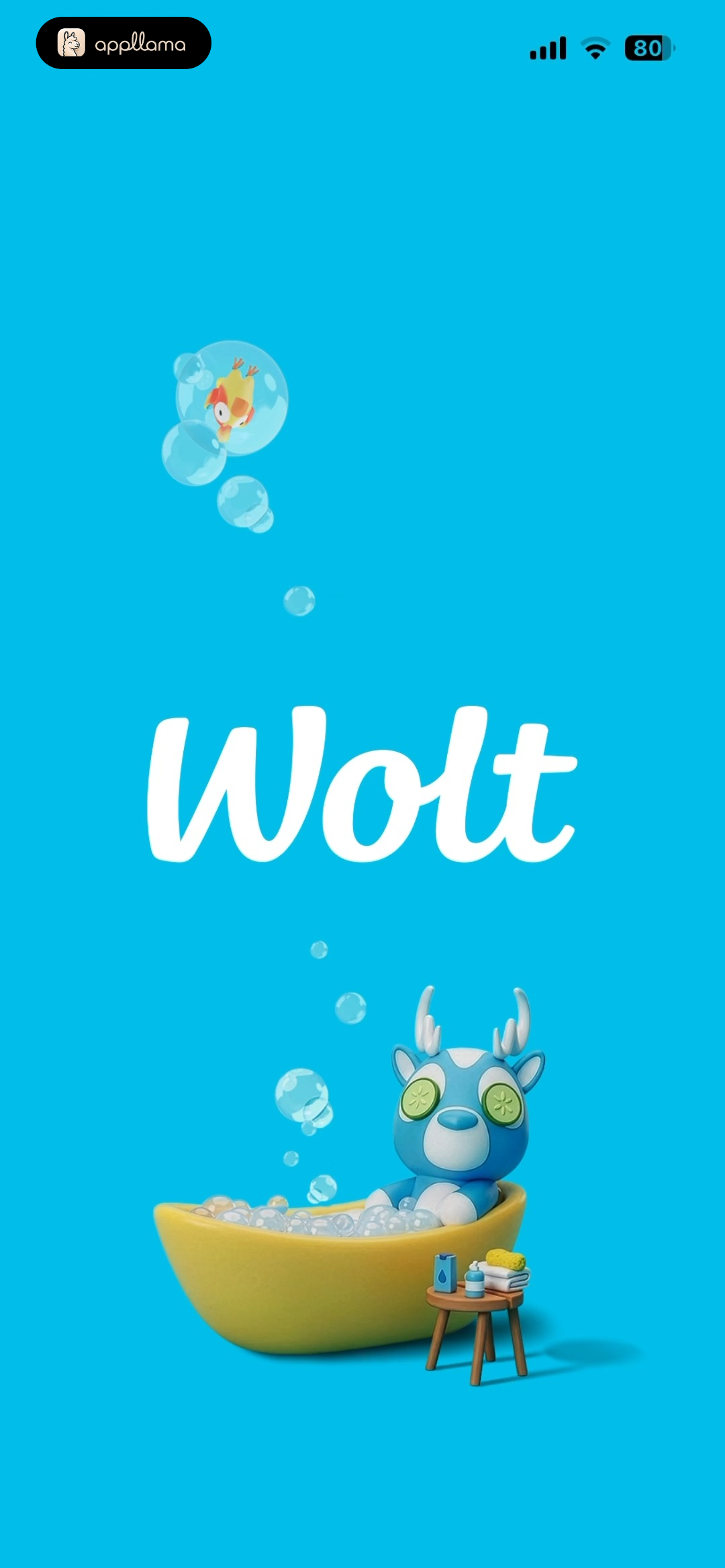 Splash Screen