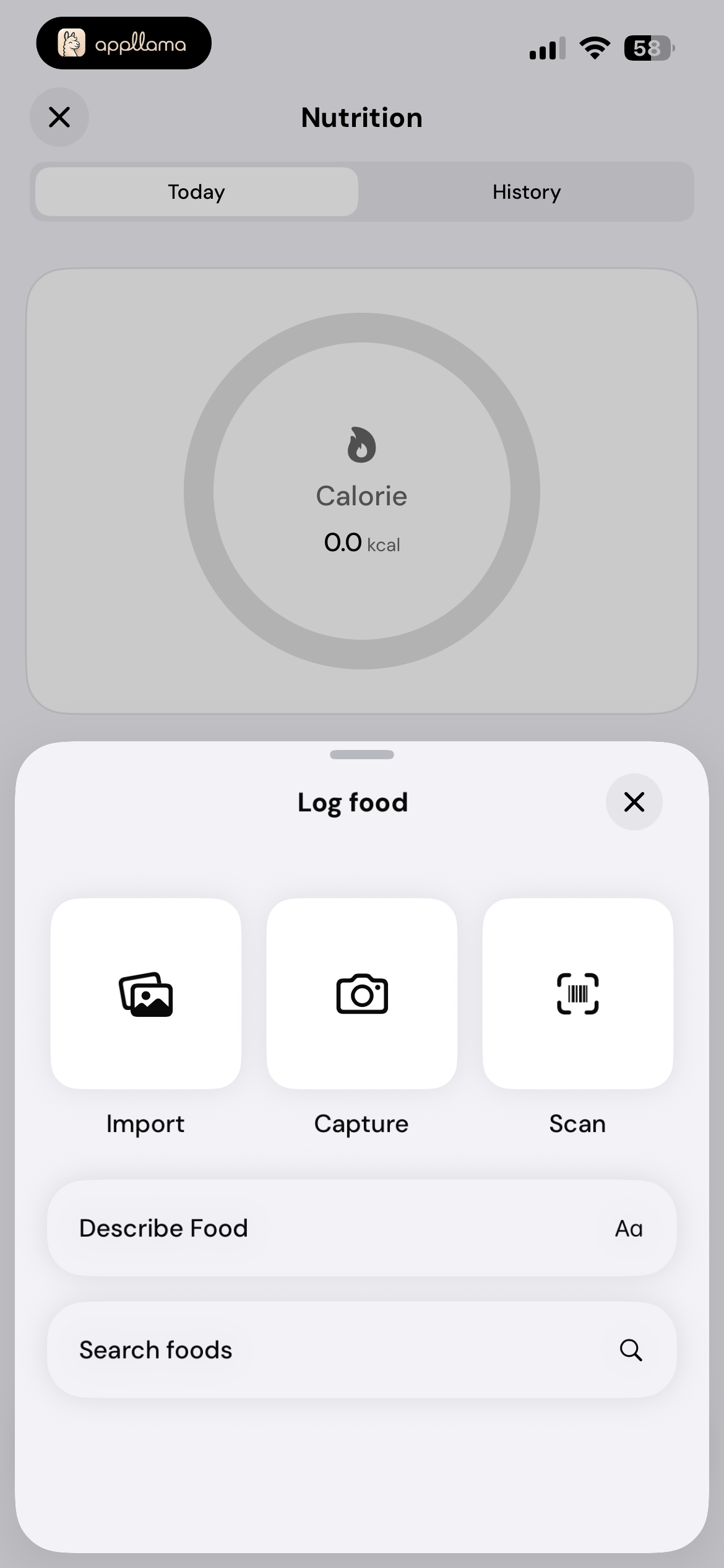 Log Food Sheet