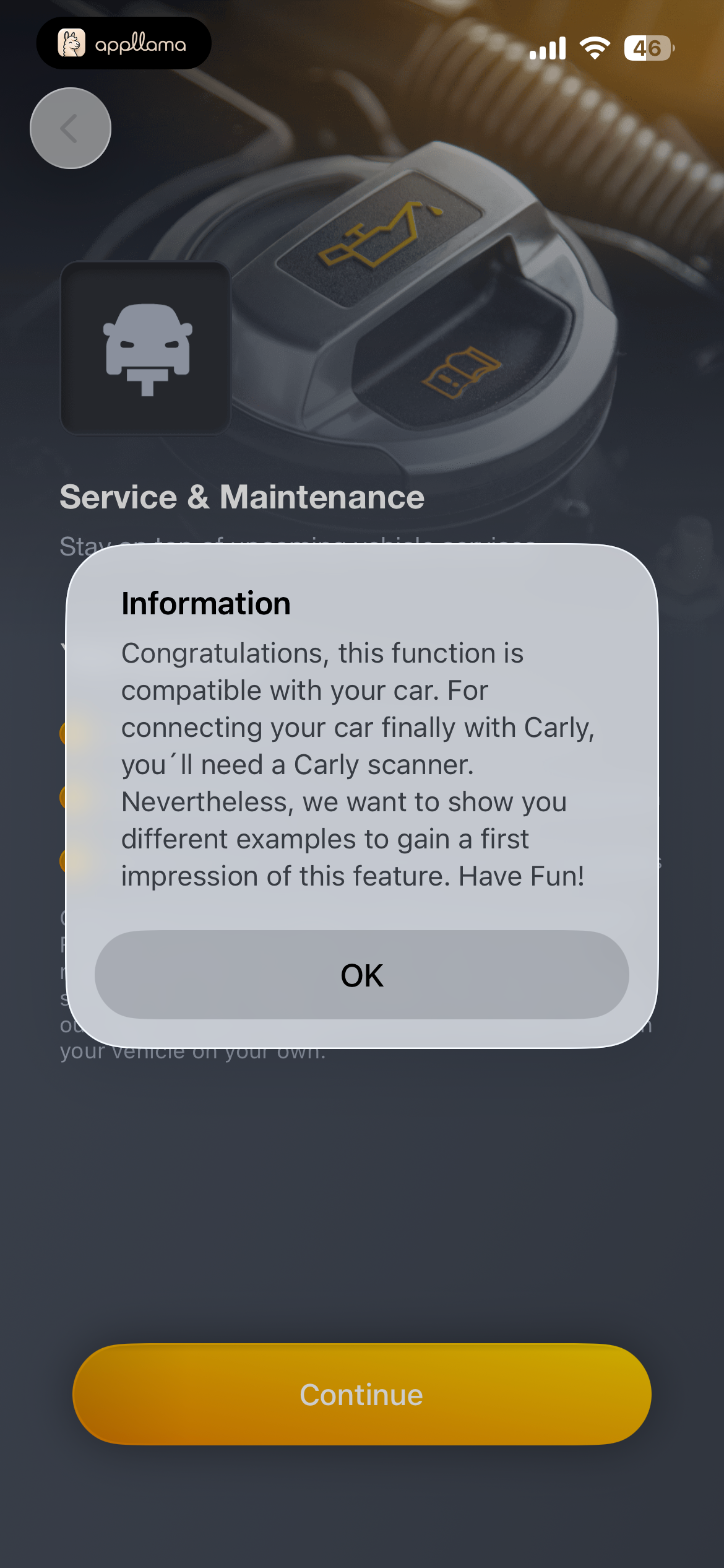 Service Info Modal
