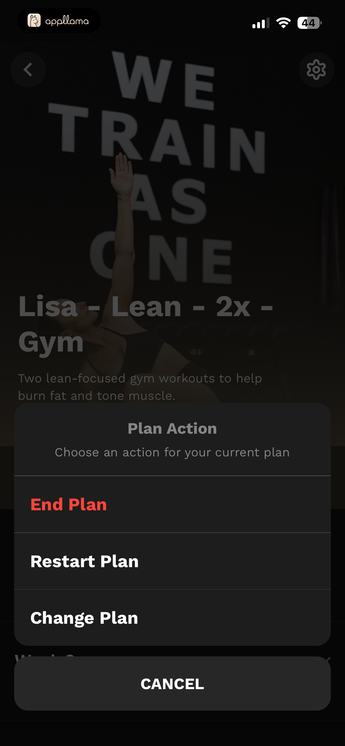 Plan Options Menu