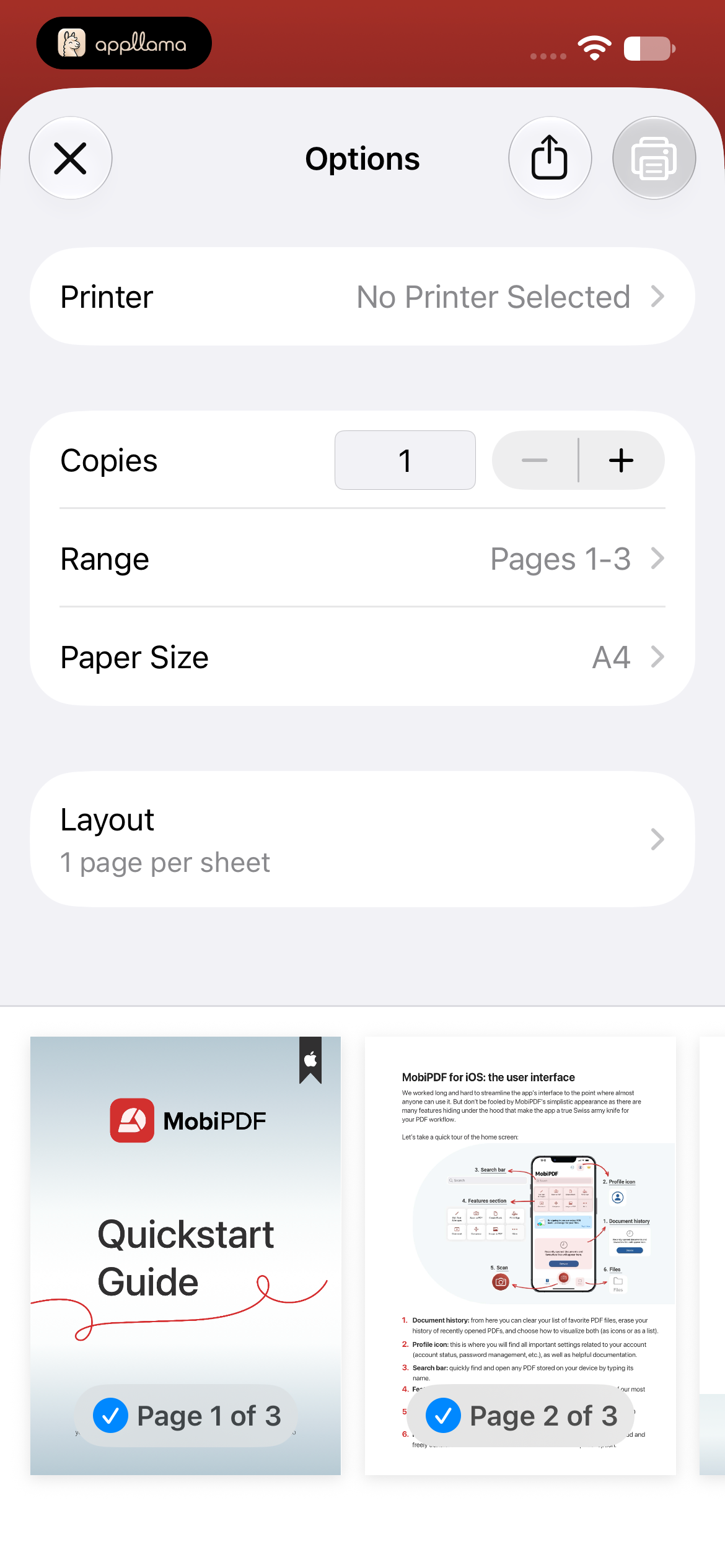 Print Options