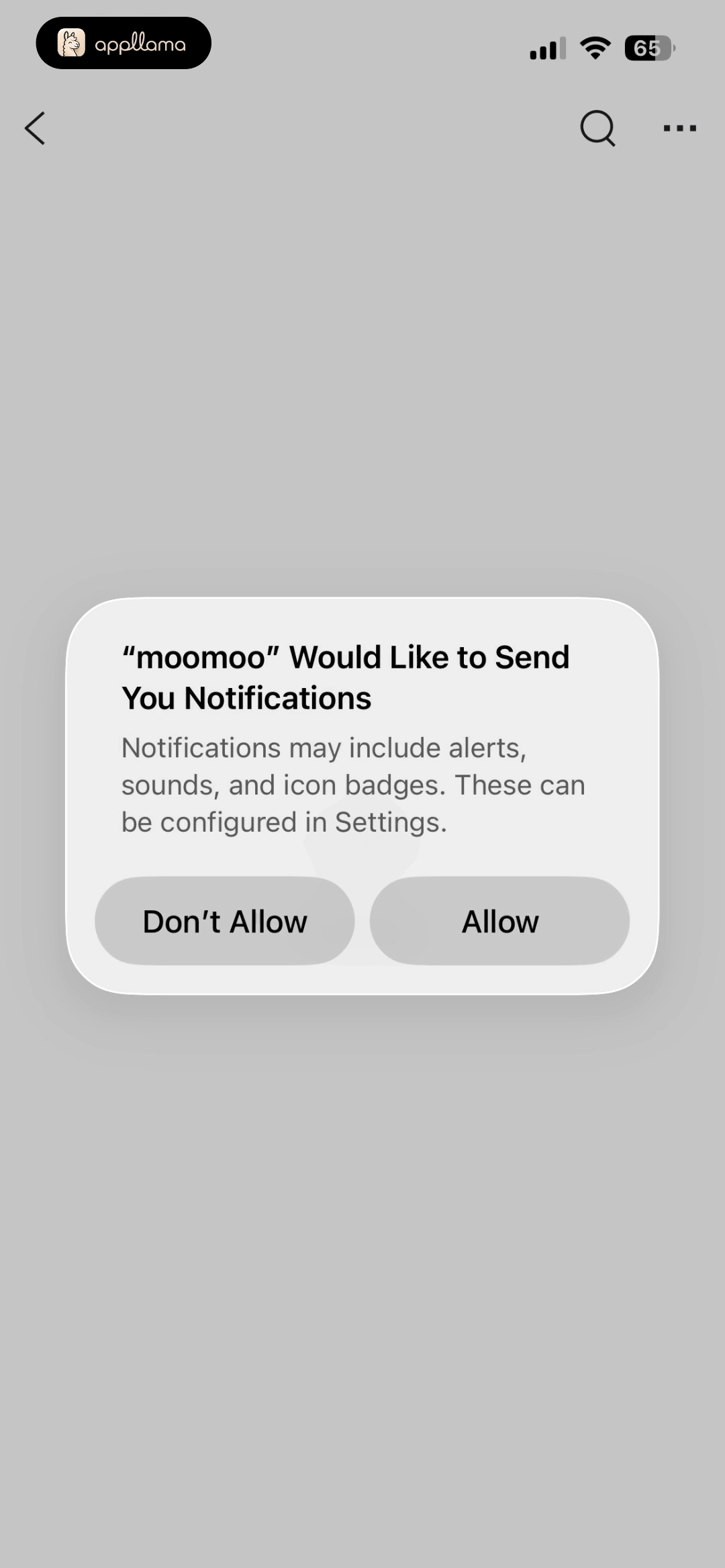 Notification Permission