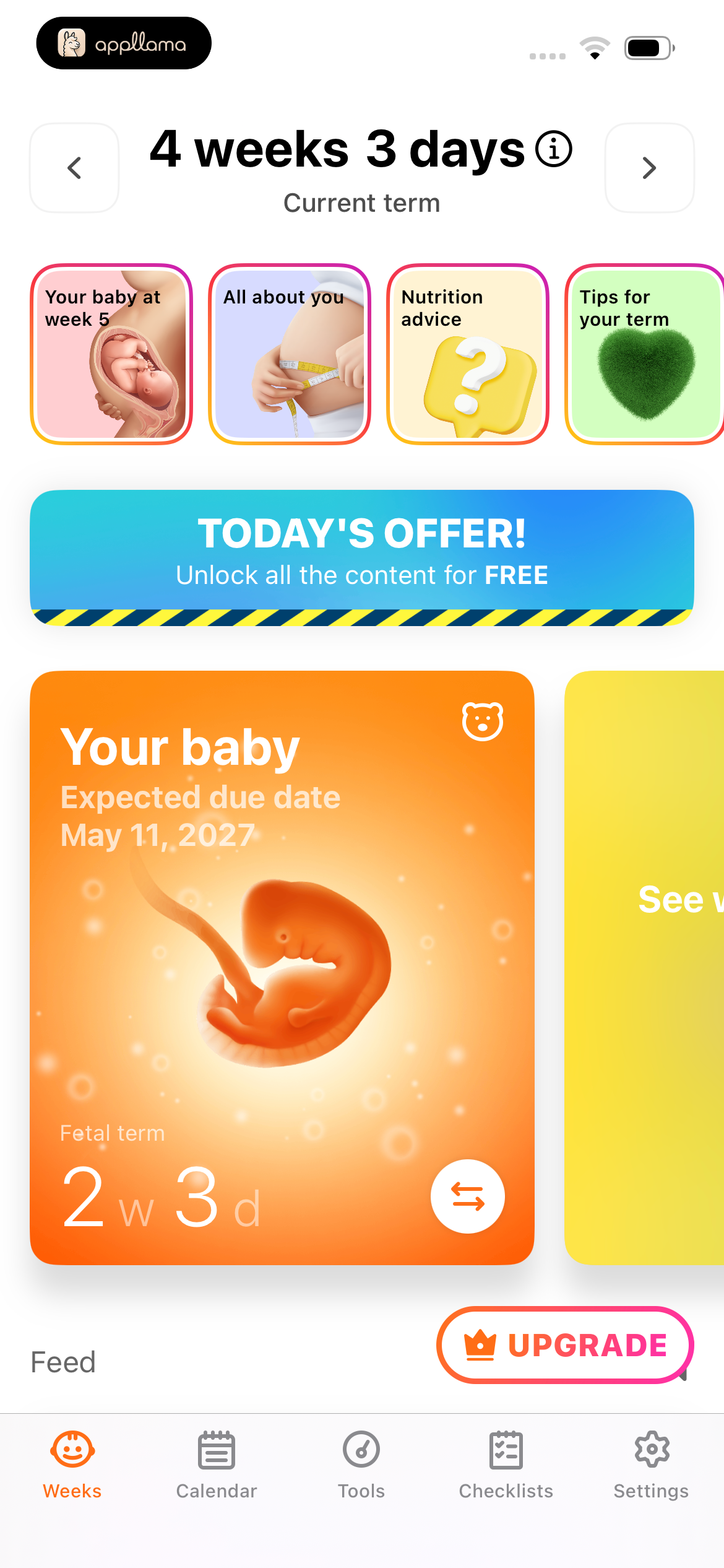 Pregnancy Home