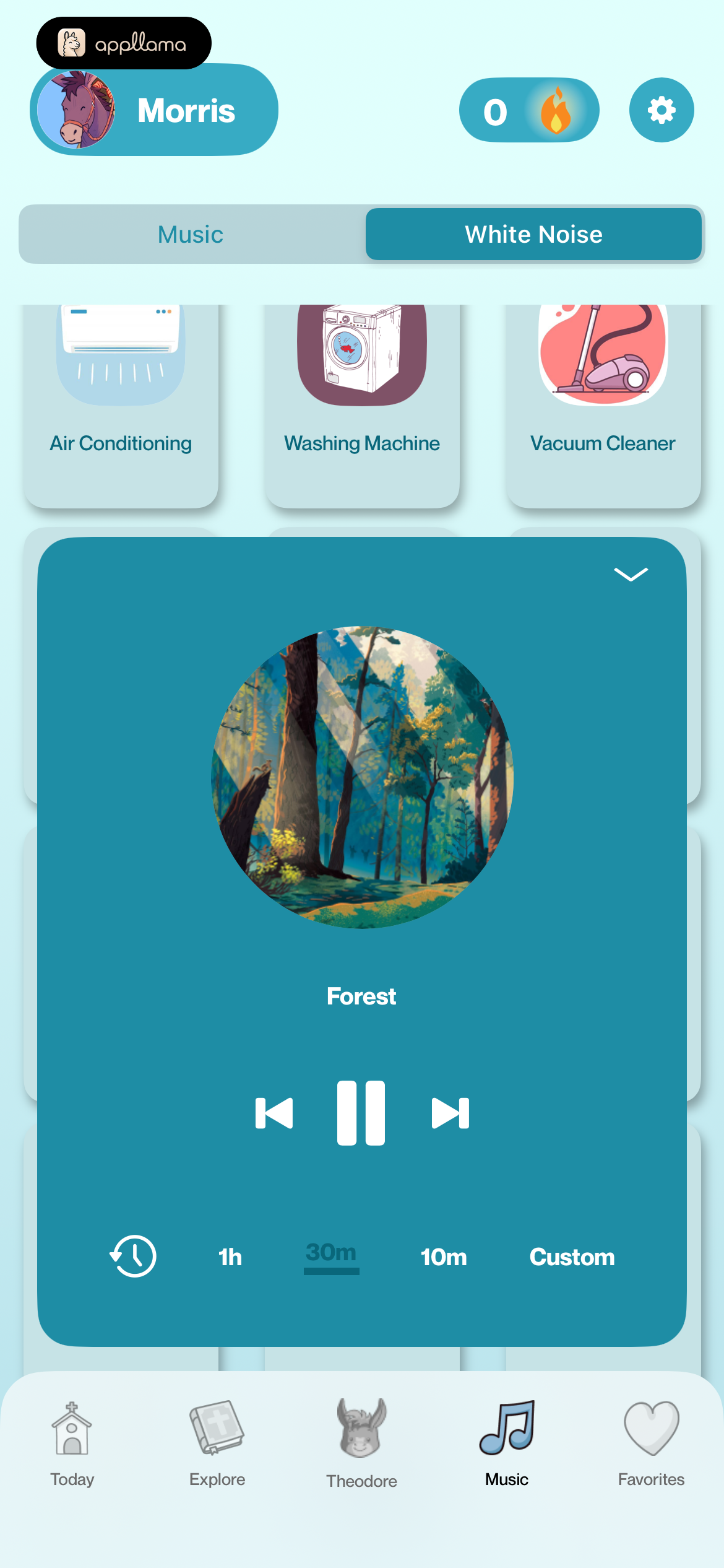Audio Player