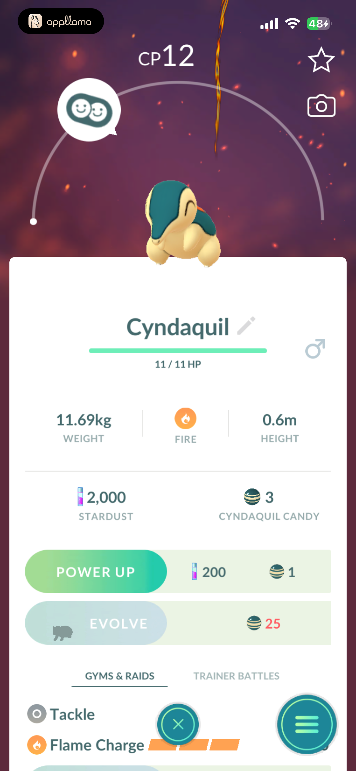 Pokémon Detail