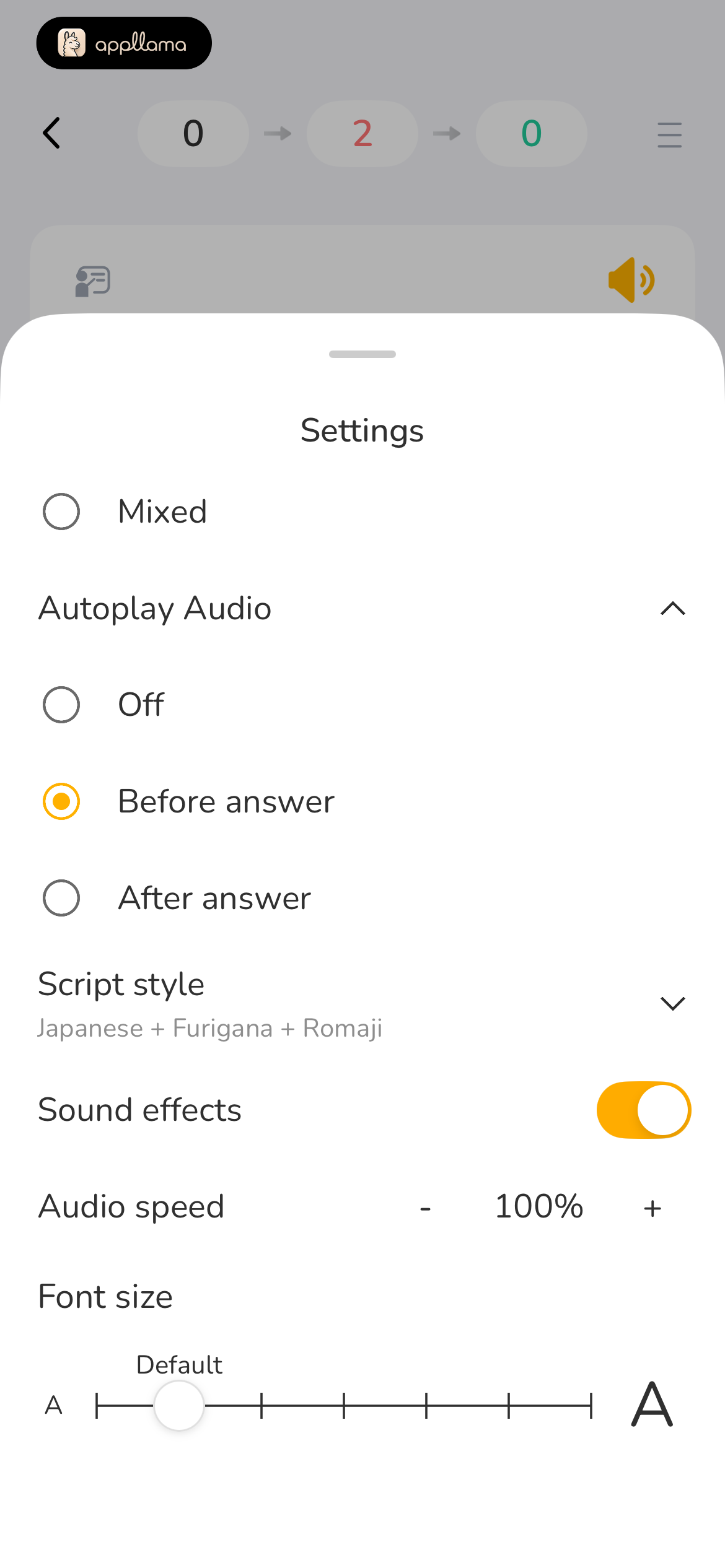 Review Audio Settings