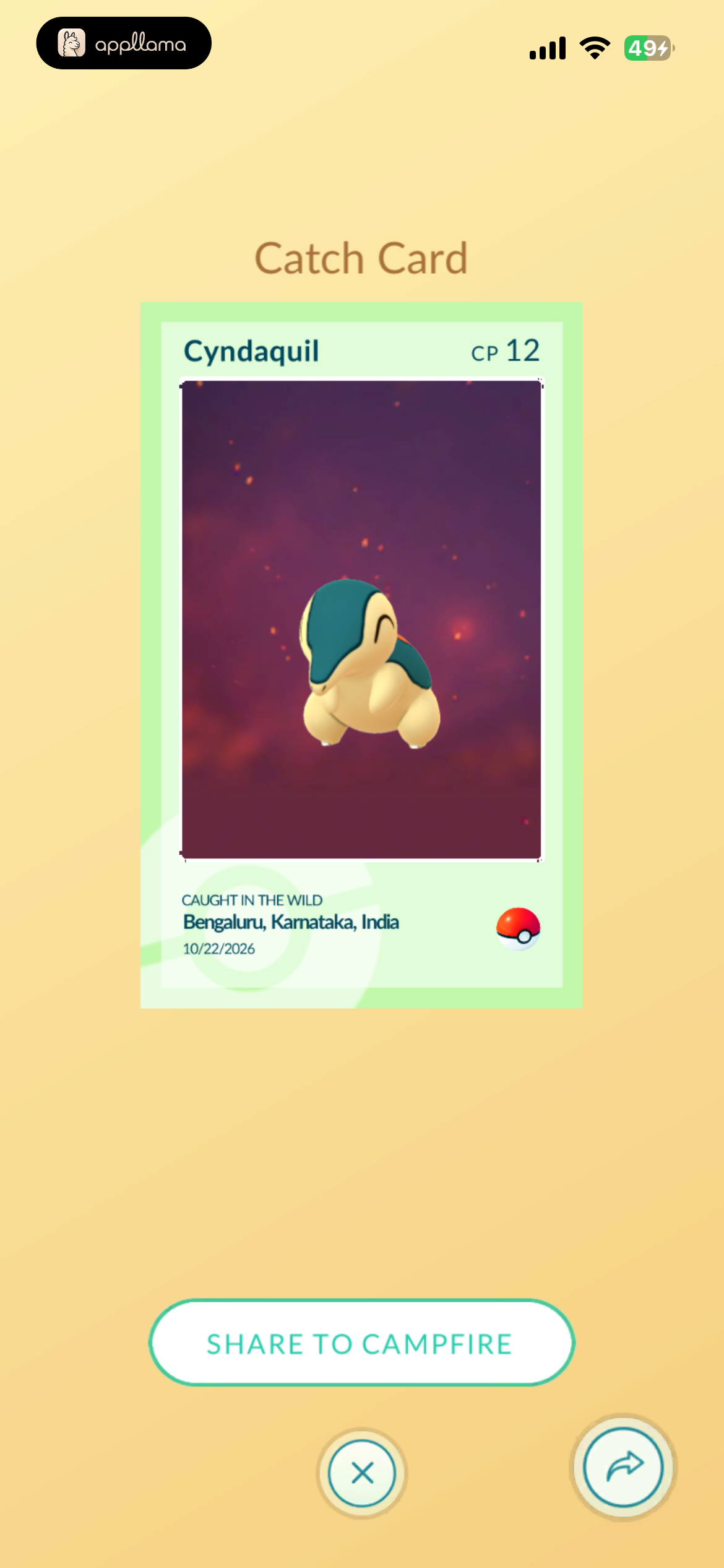 Pokémon Catch Card