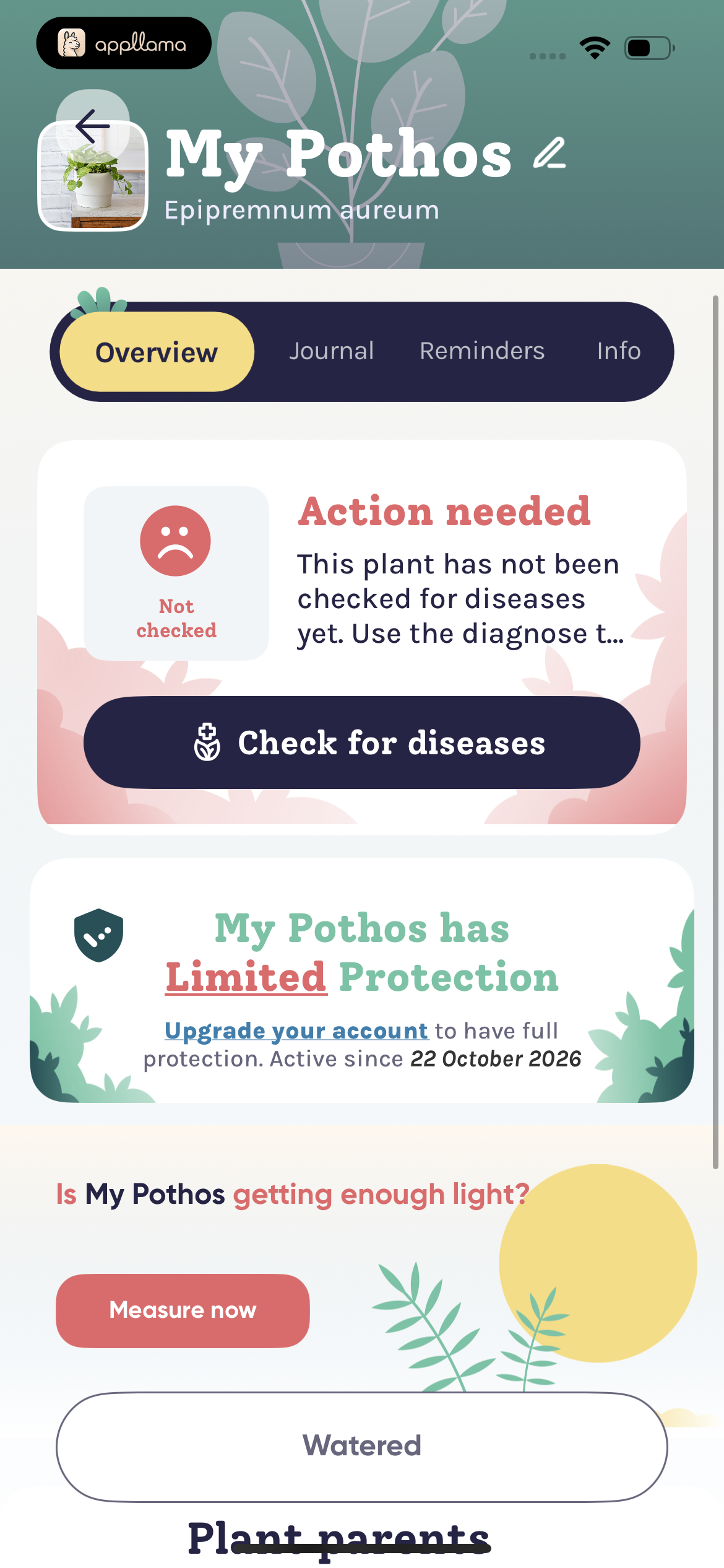 Plant Overview Dashboard