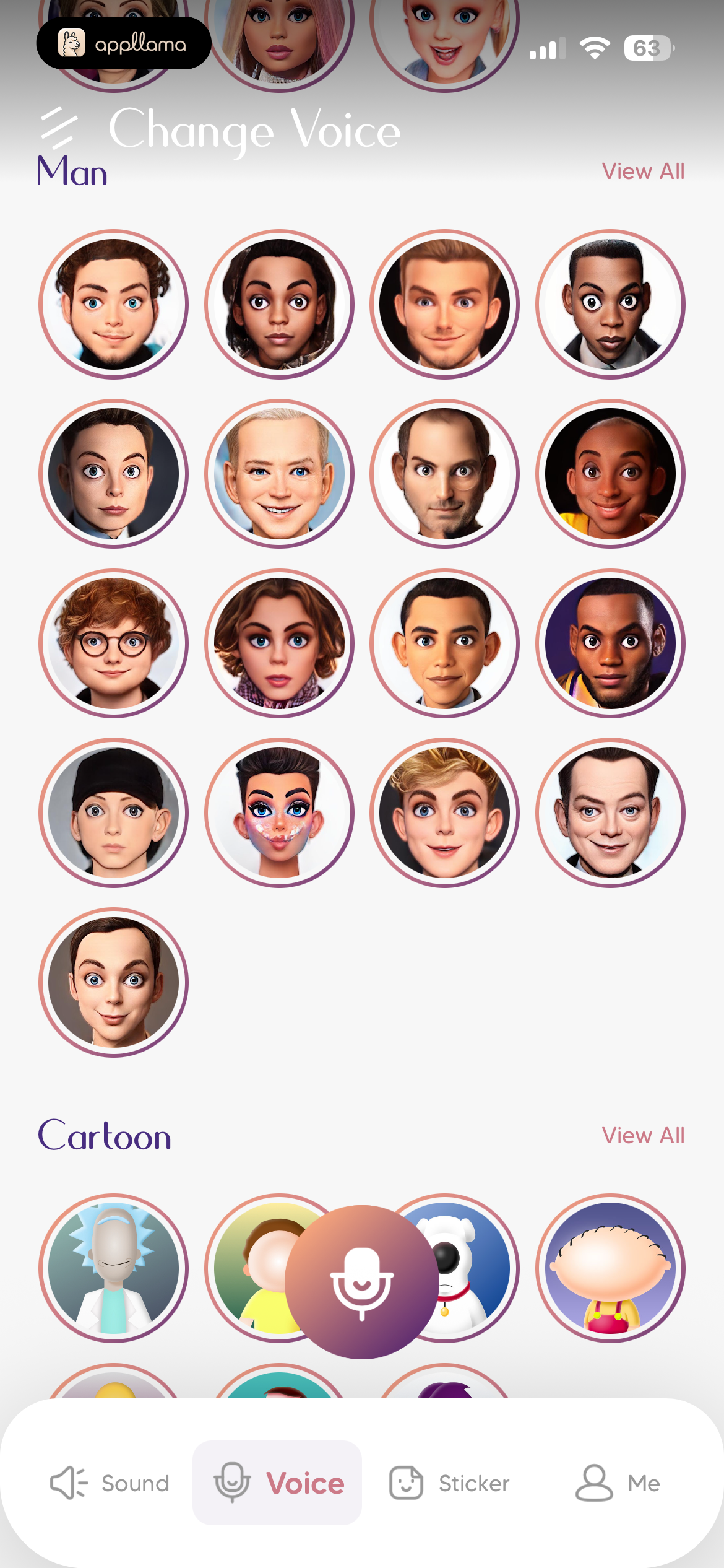 Voice Presets