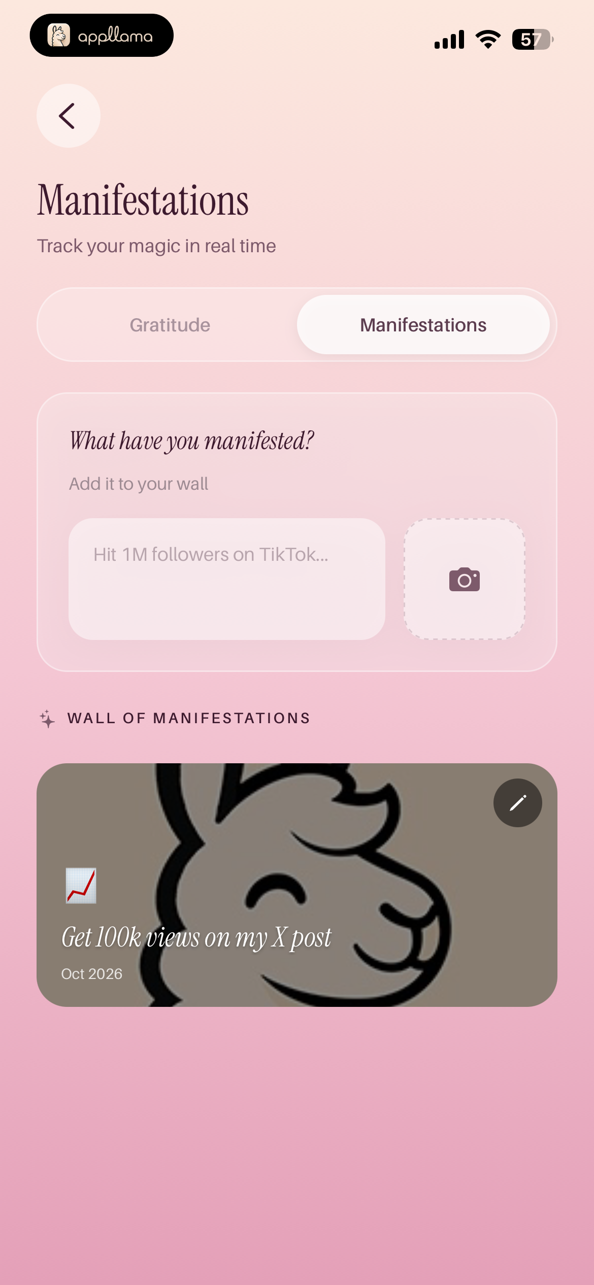 Manifestation Journal