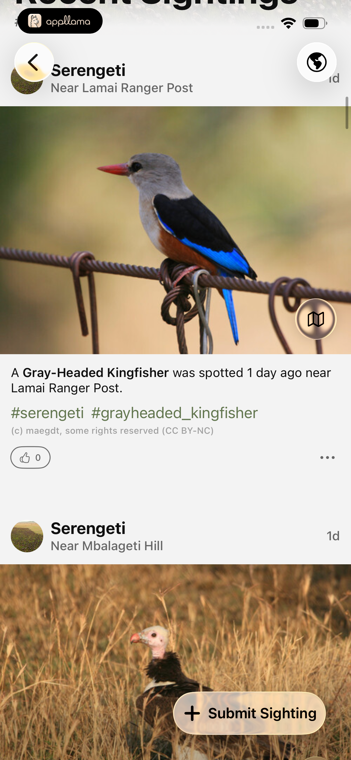 Sightings Feed