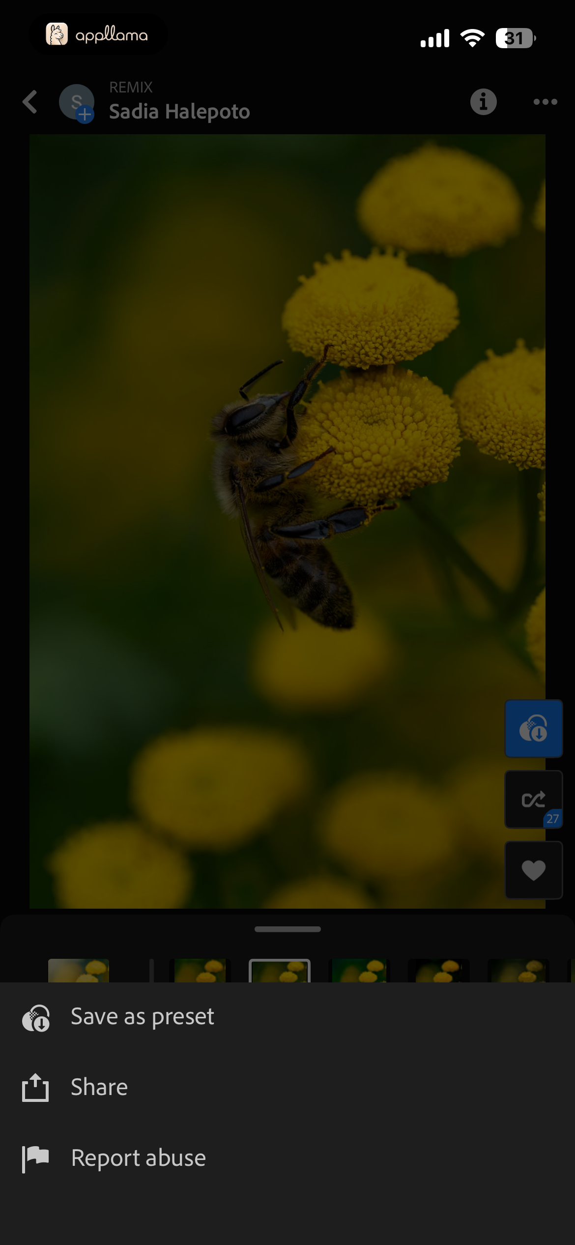 Edit More Actions