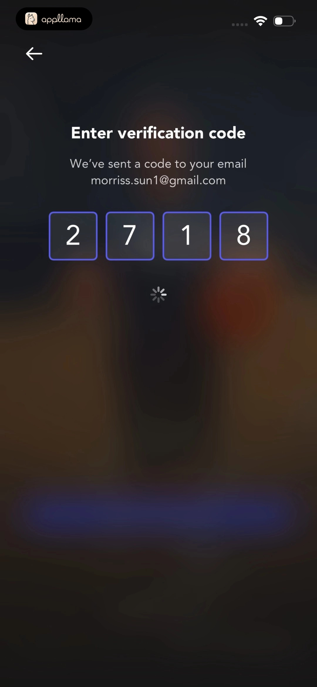 Code Verification Loading
