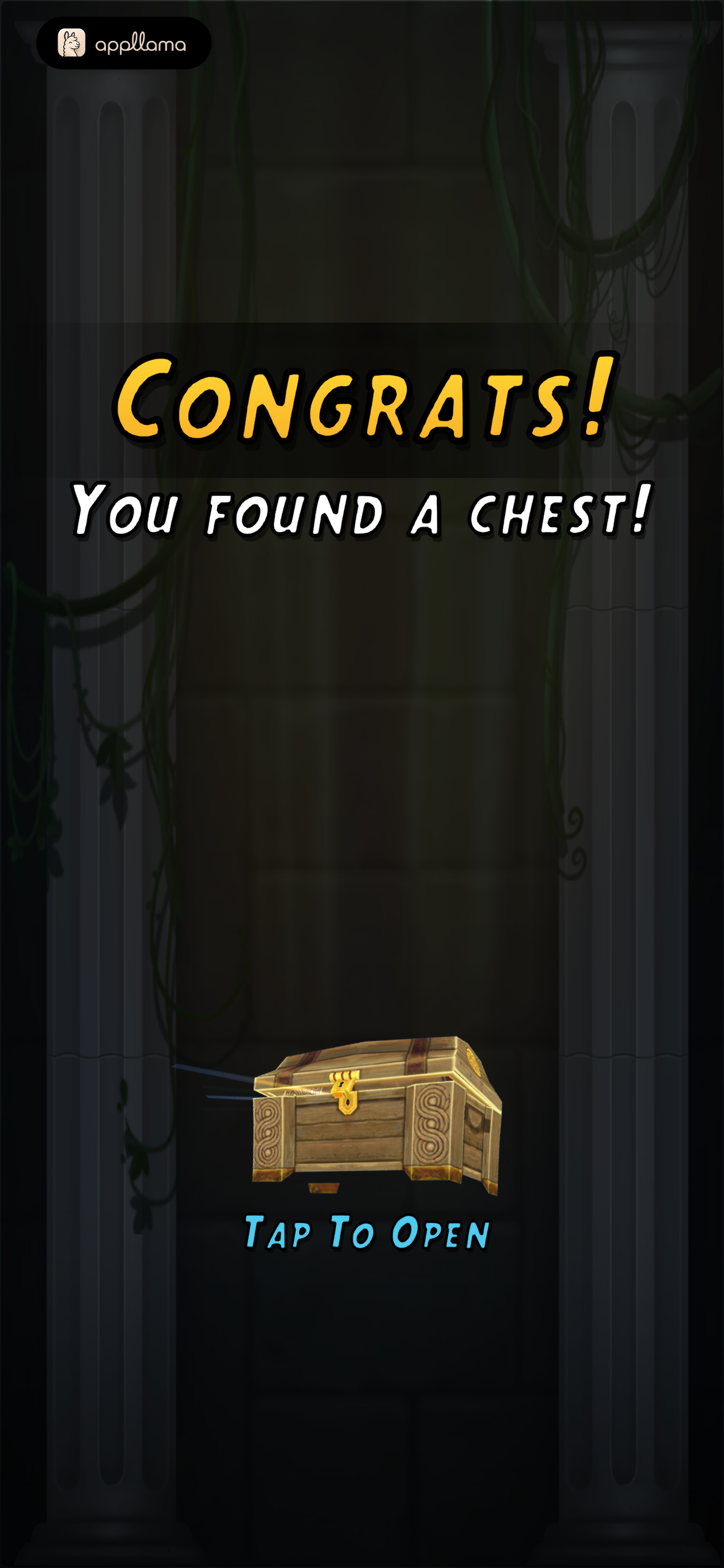 Mystery Chest Intro