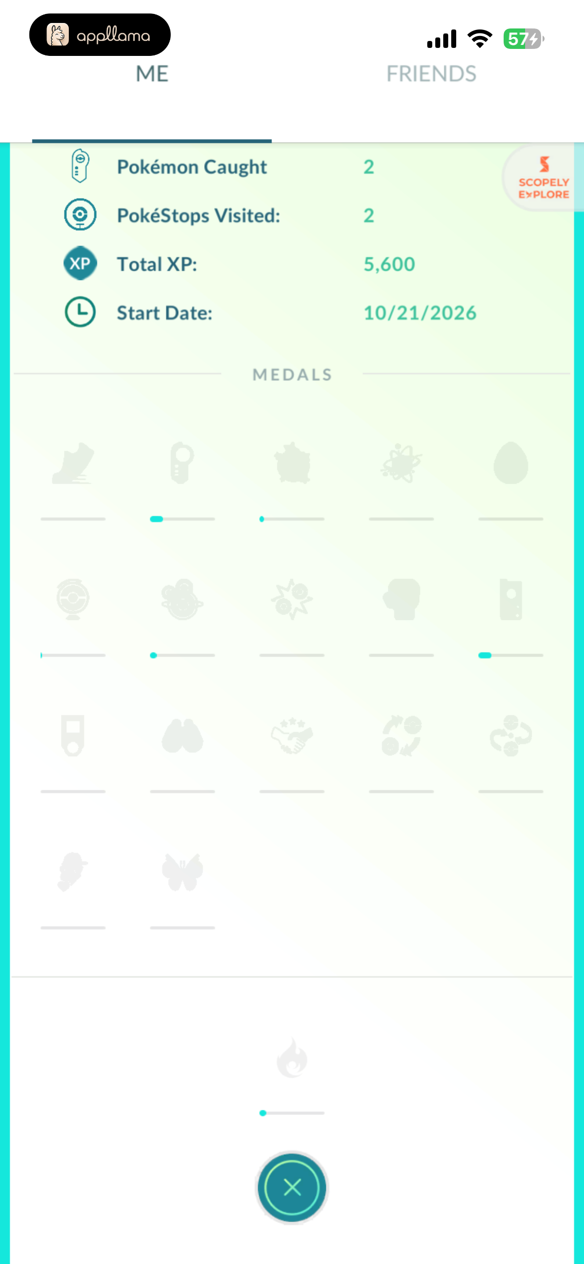 Trainer Medal Collection