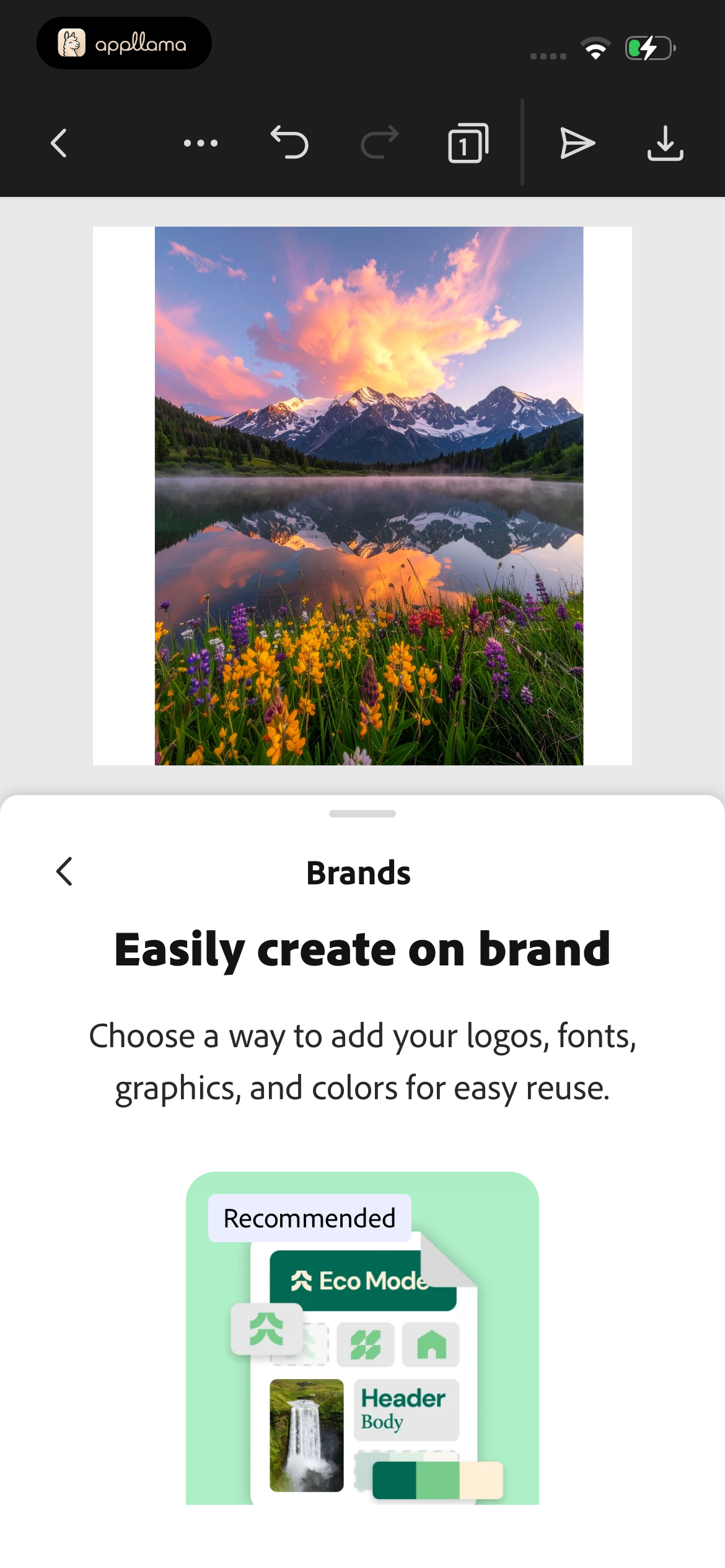 Brand Introduction