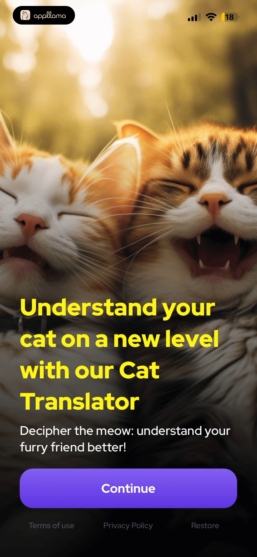 Cat Translator Intro