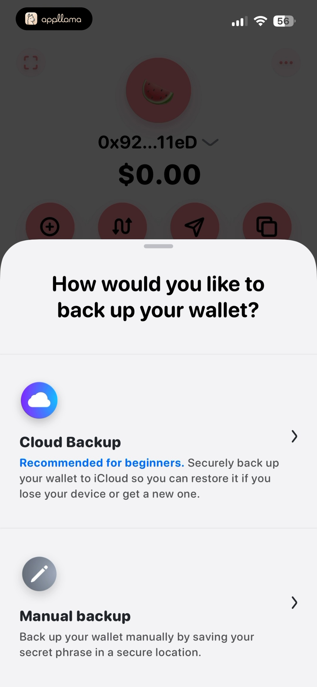 Backup Method Selection