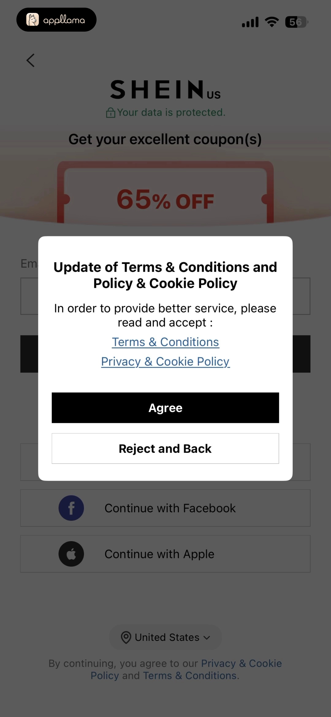 Terms Consent