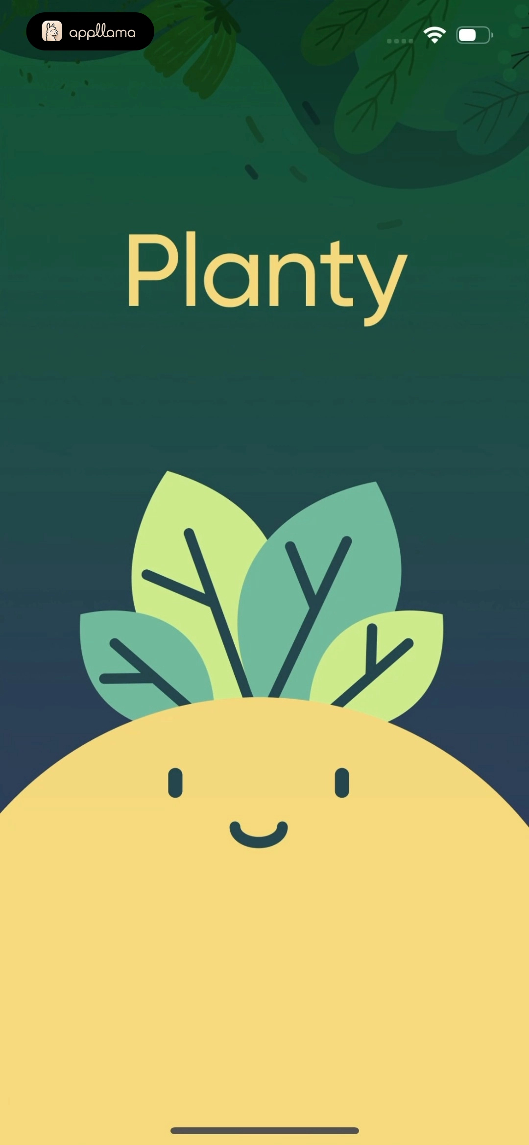 Splash Screen