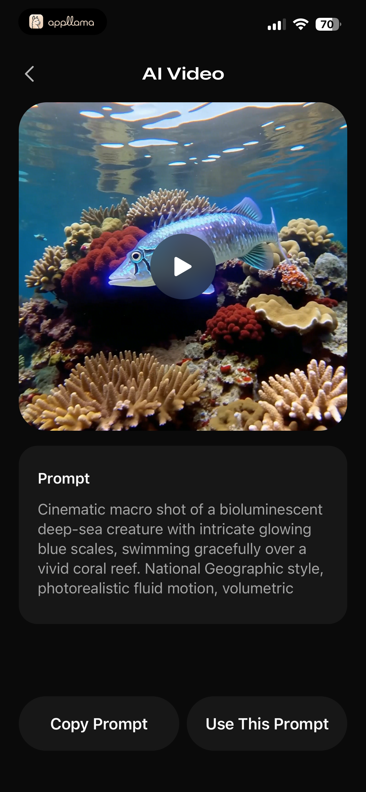 AI Video Detail