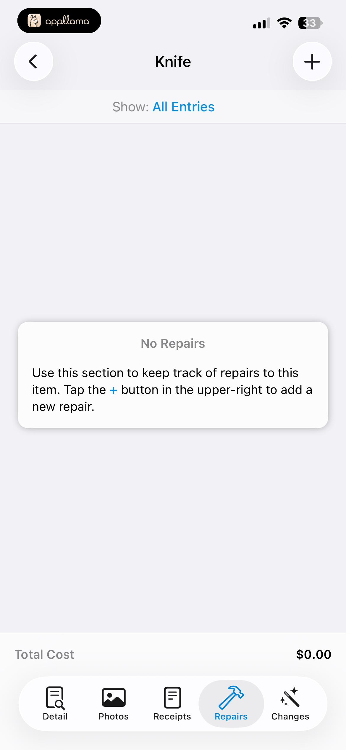 Item Repairs