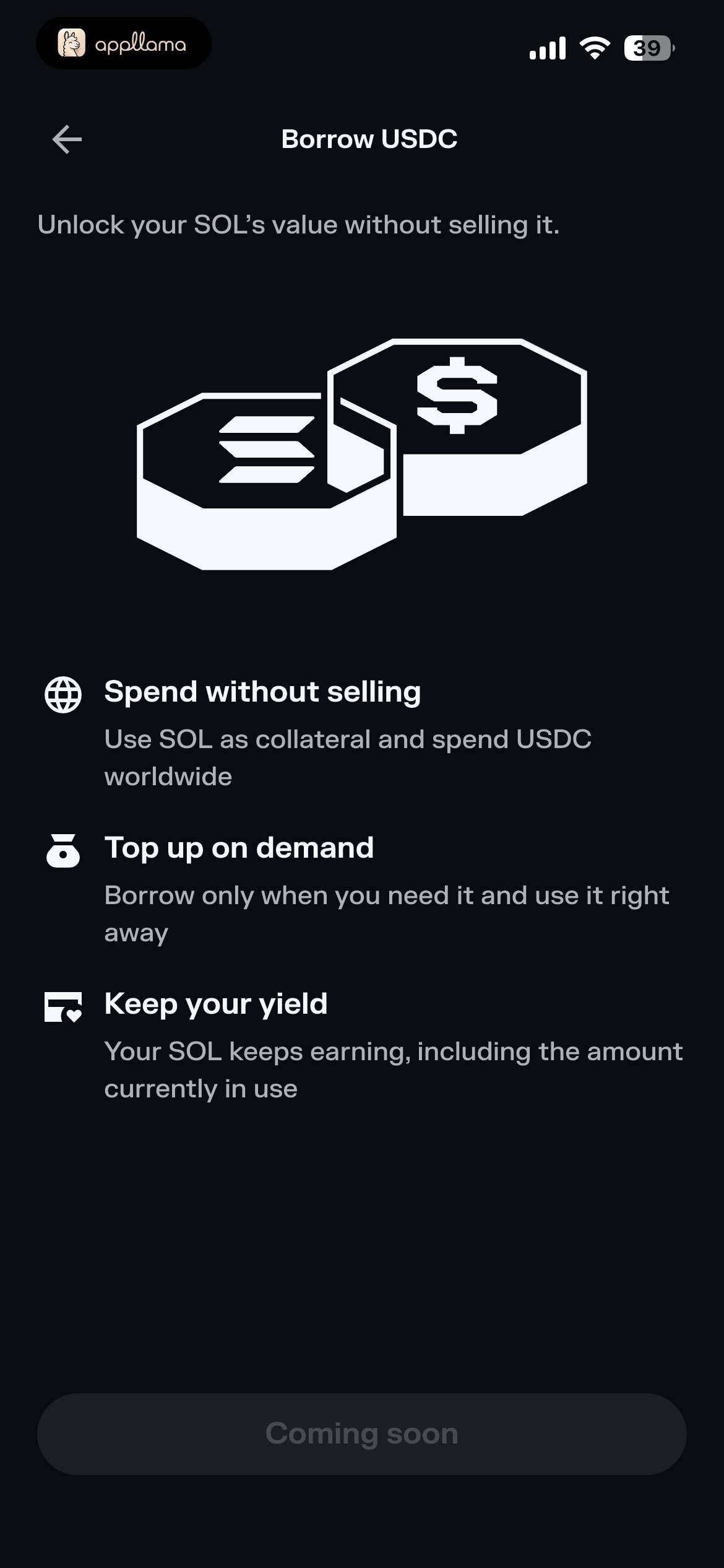 Borrow USDC Details